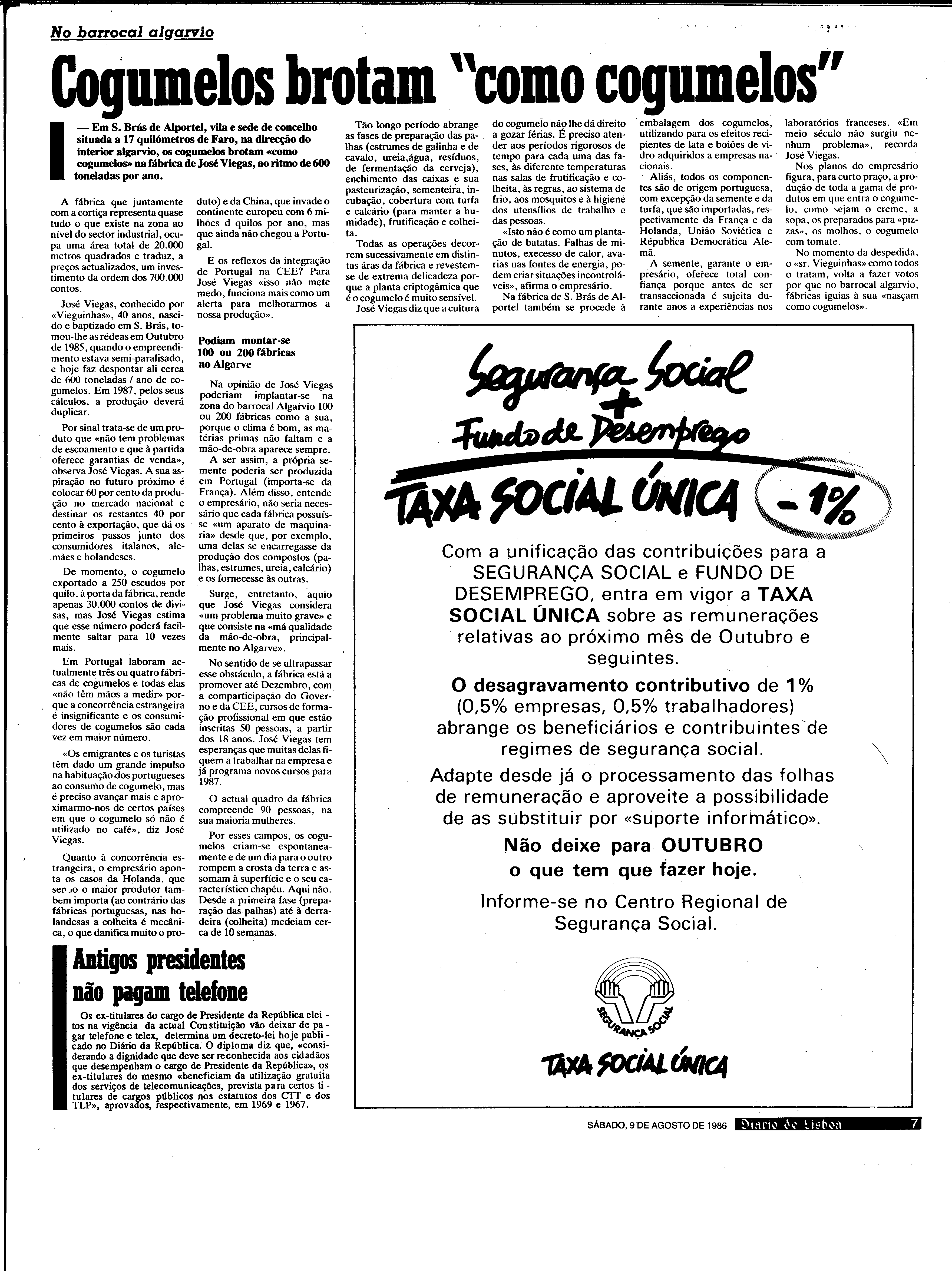 06881.198.30618- pag.7