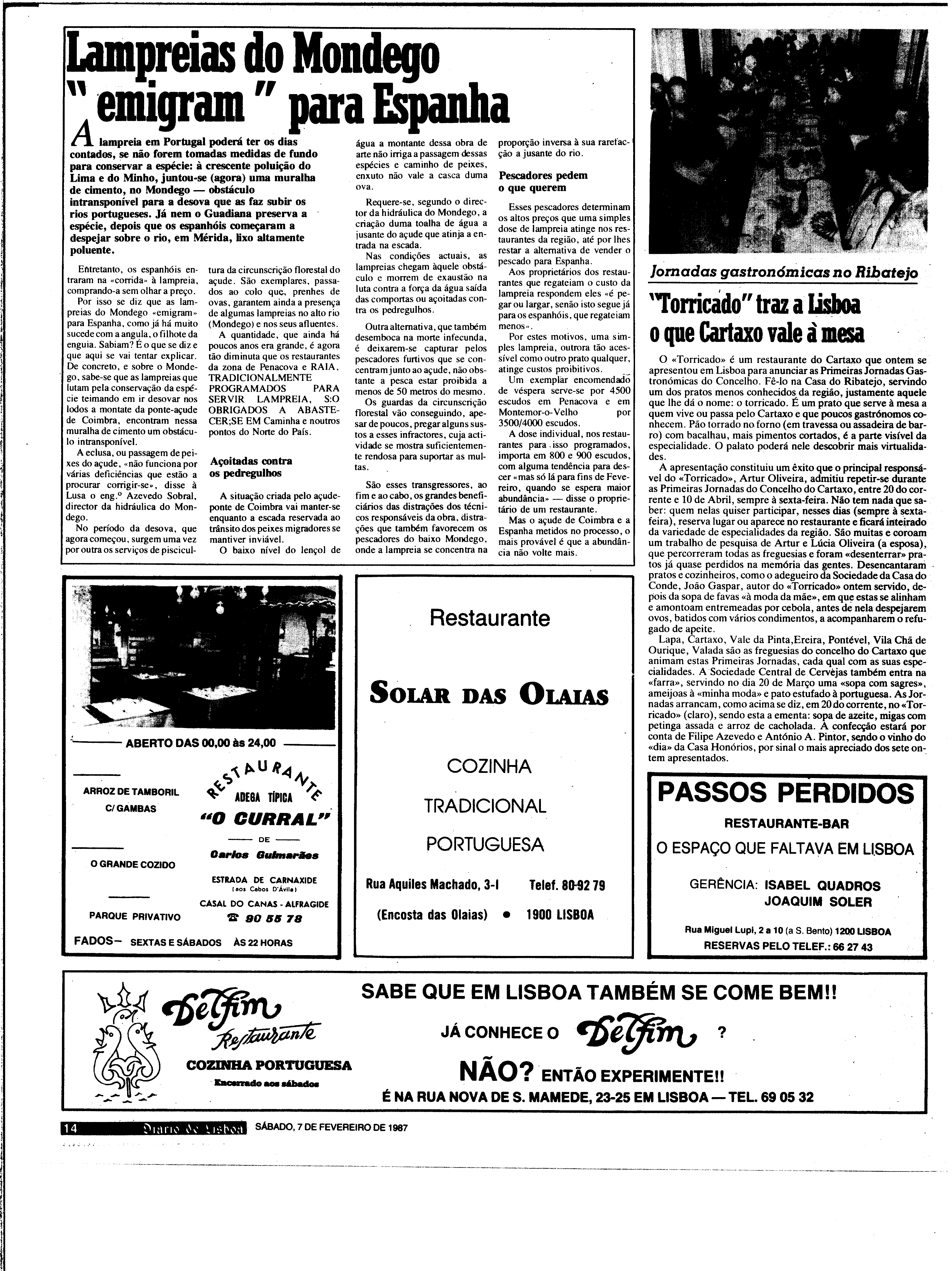 06882.199.30768- pag.14