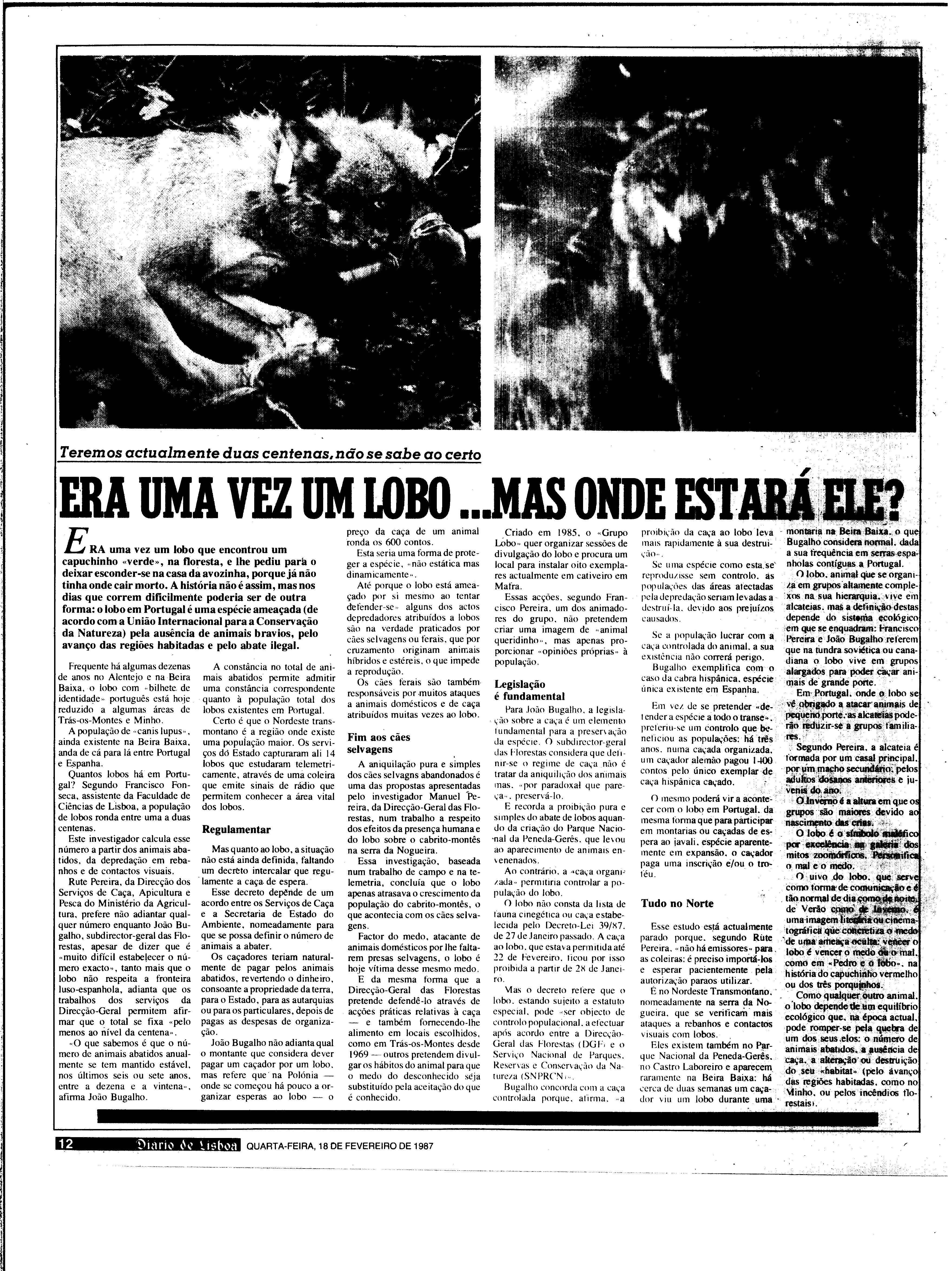 06882.199.30777- pag.12