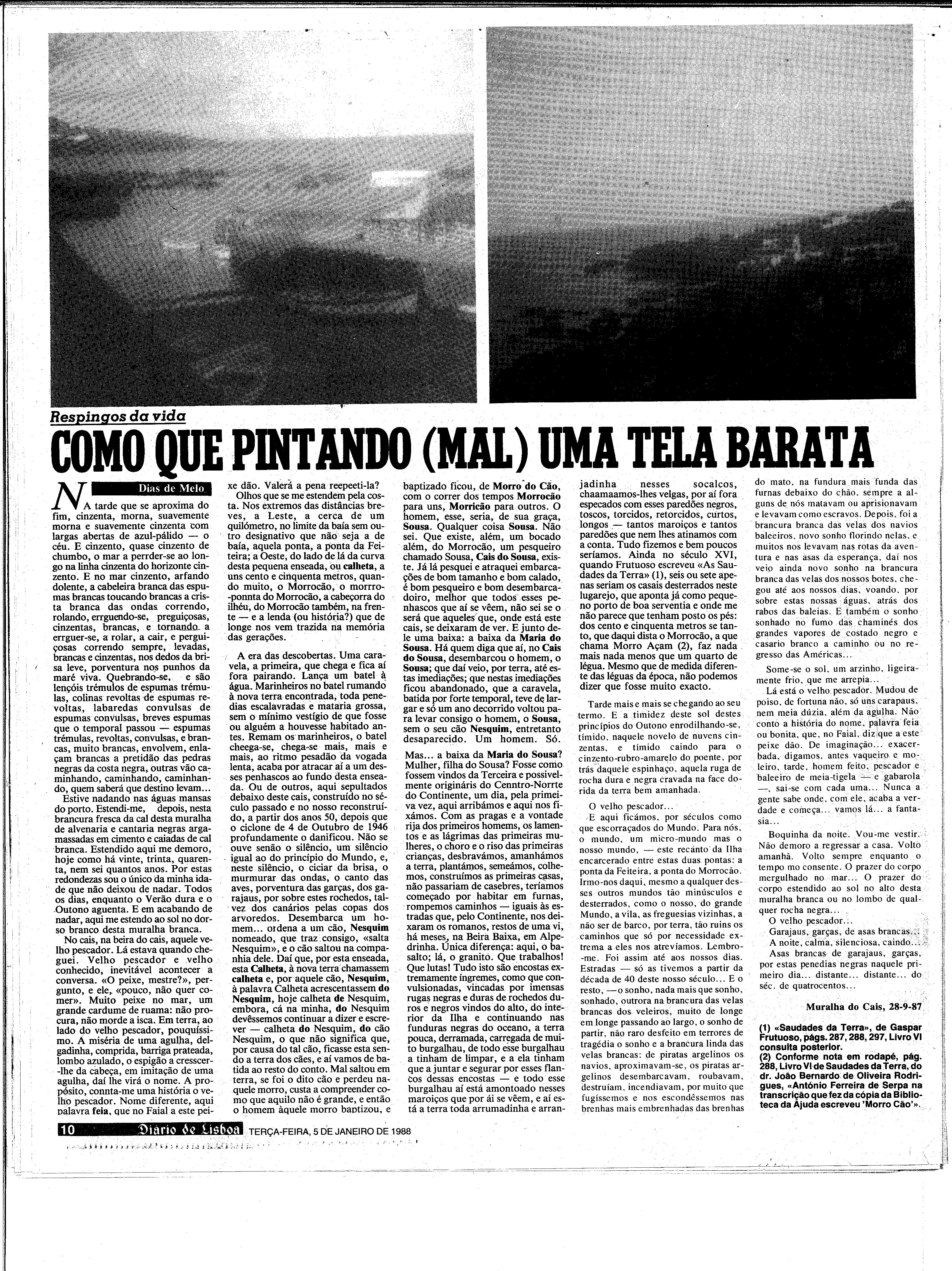 06885.202.31038- pag.10