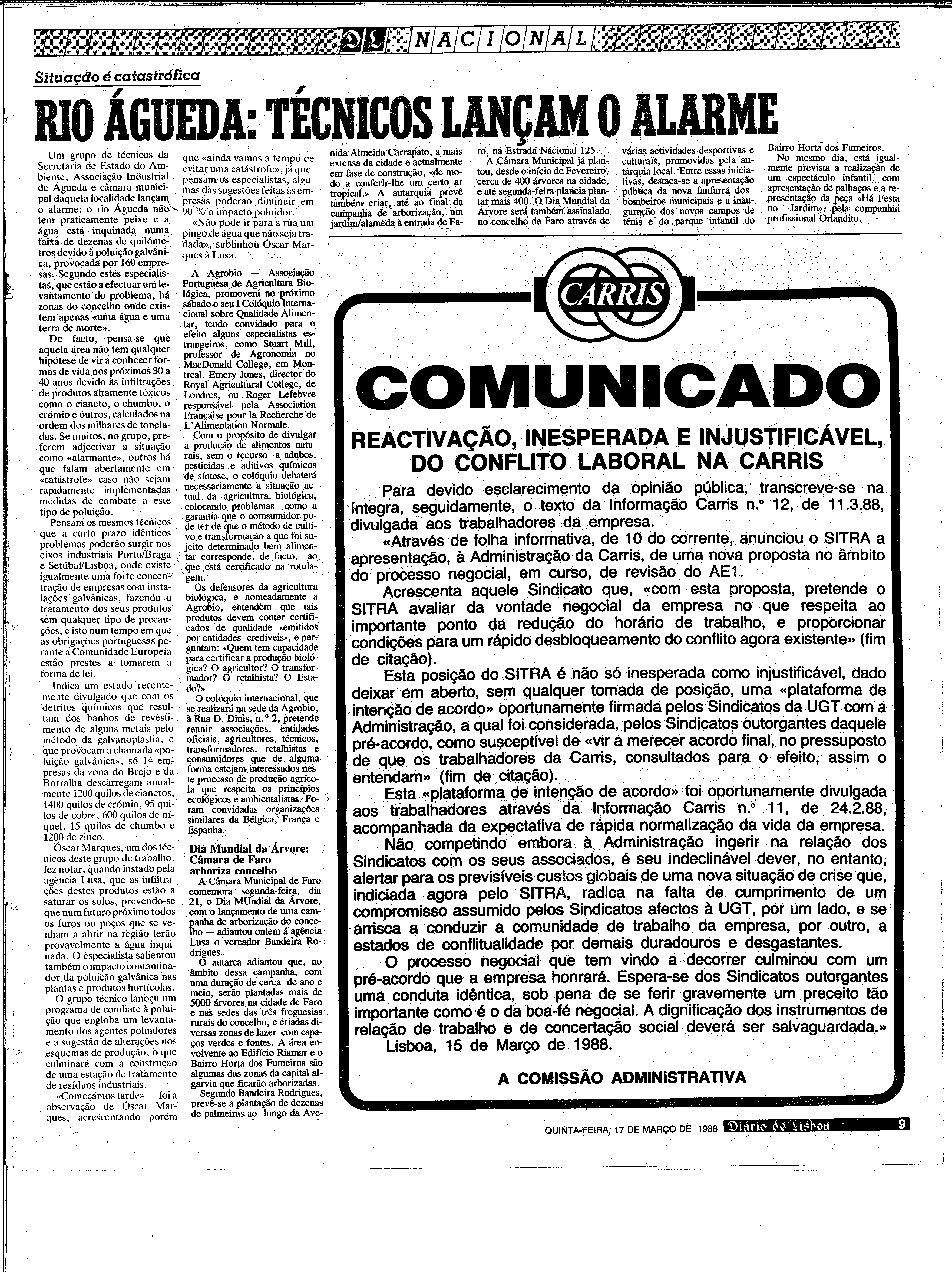 06885.202.31099- pag.9