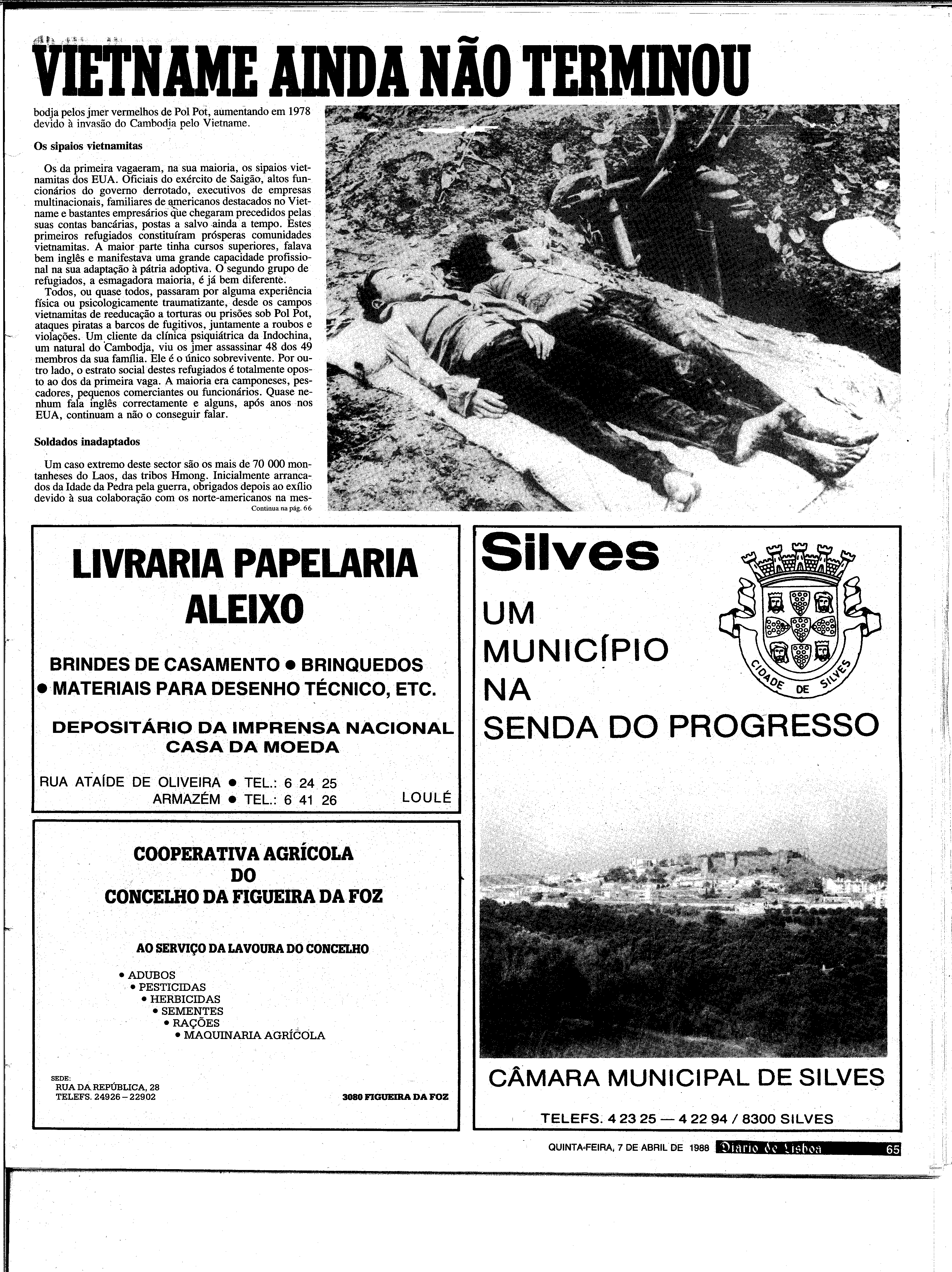 06886.203.31115- pag.65