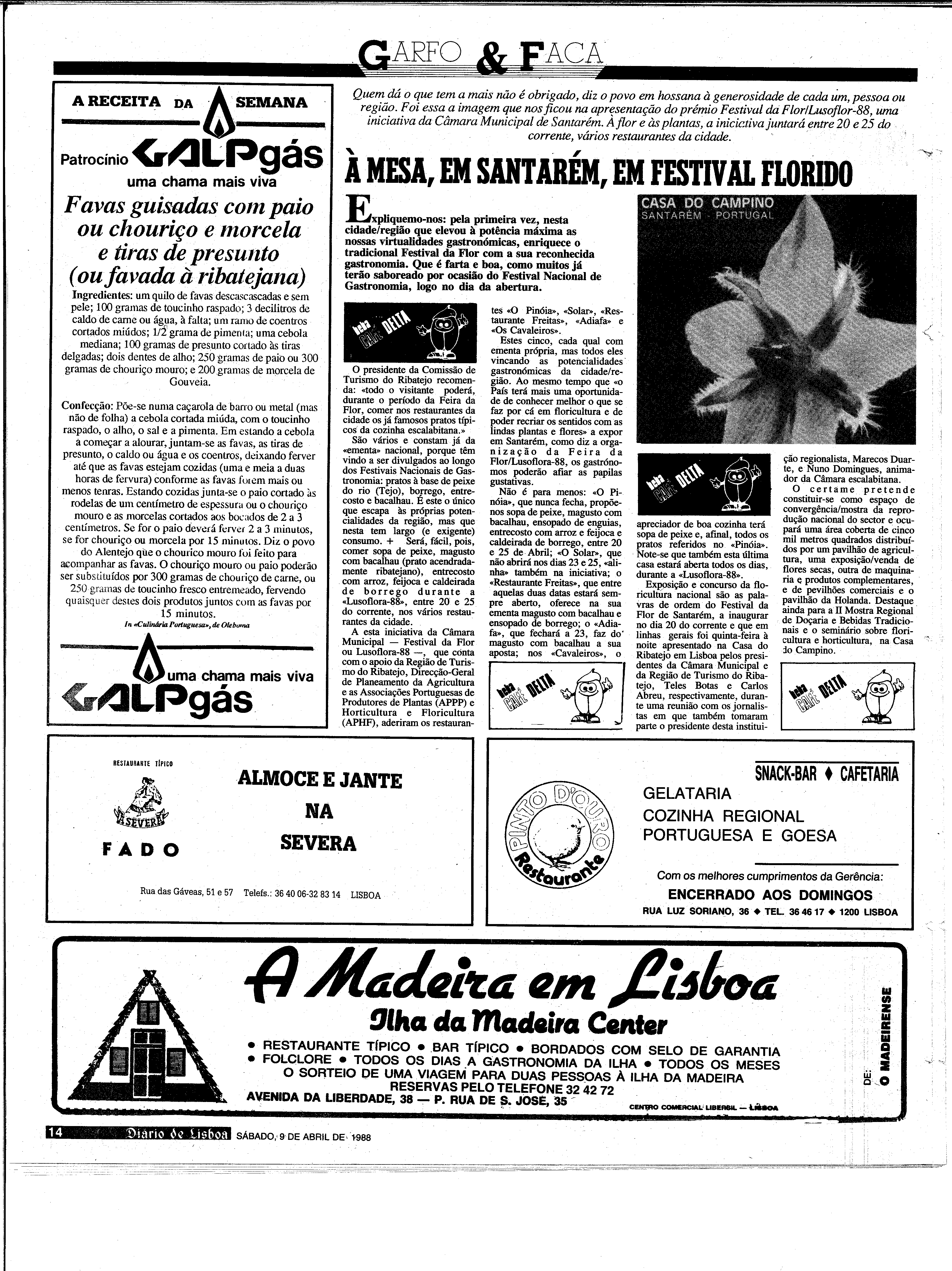 06886.203.31117- pag.14