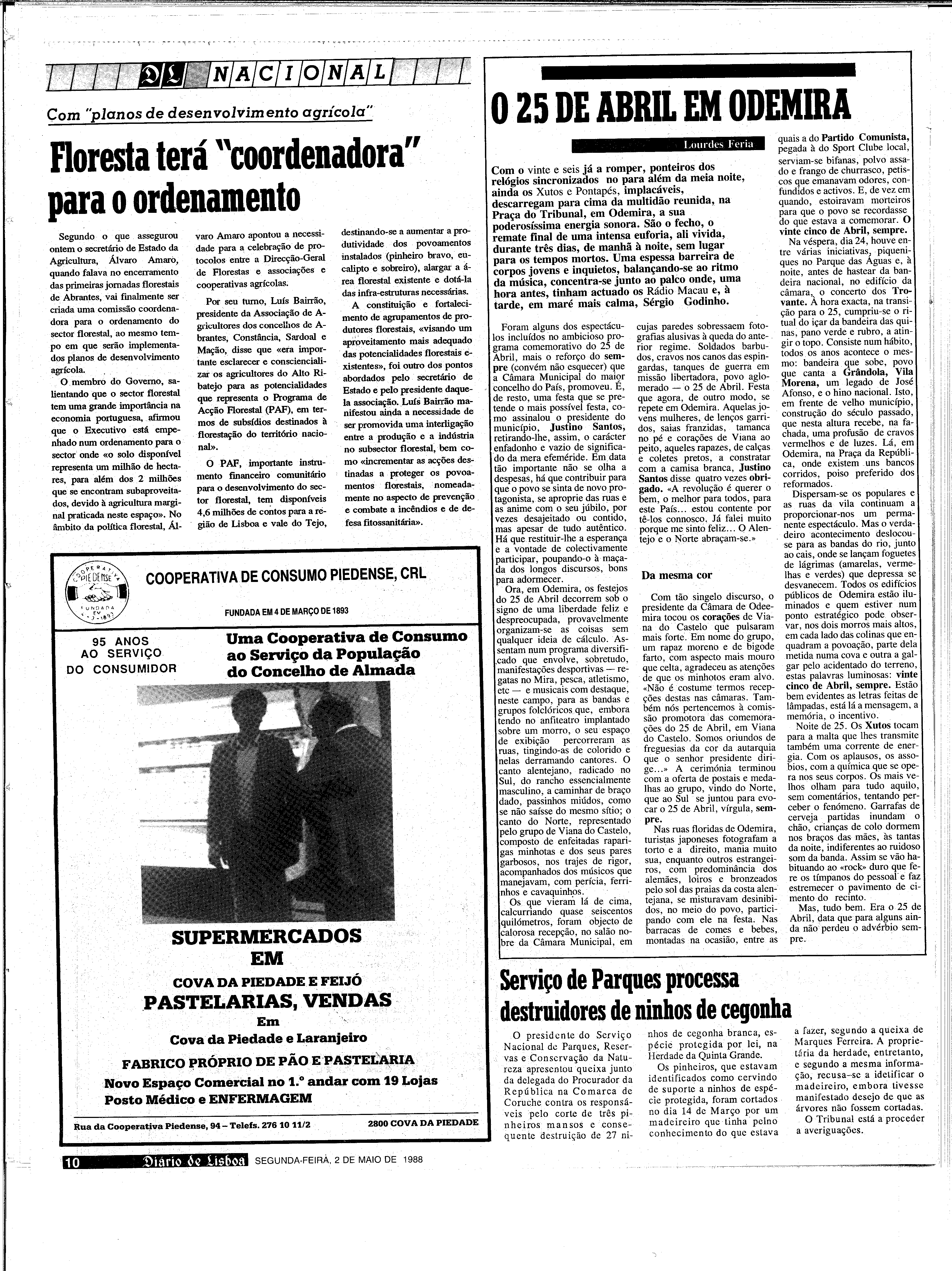 06886.203.31136- pag.10
