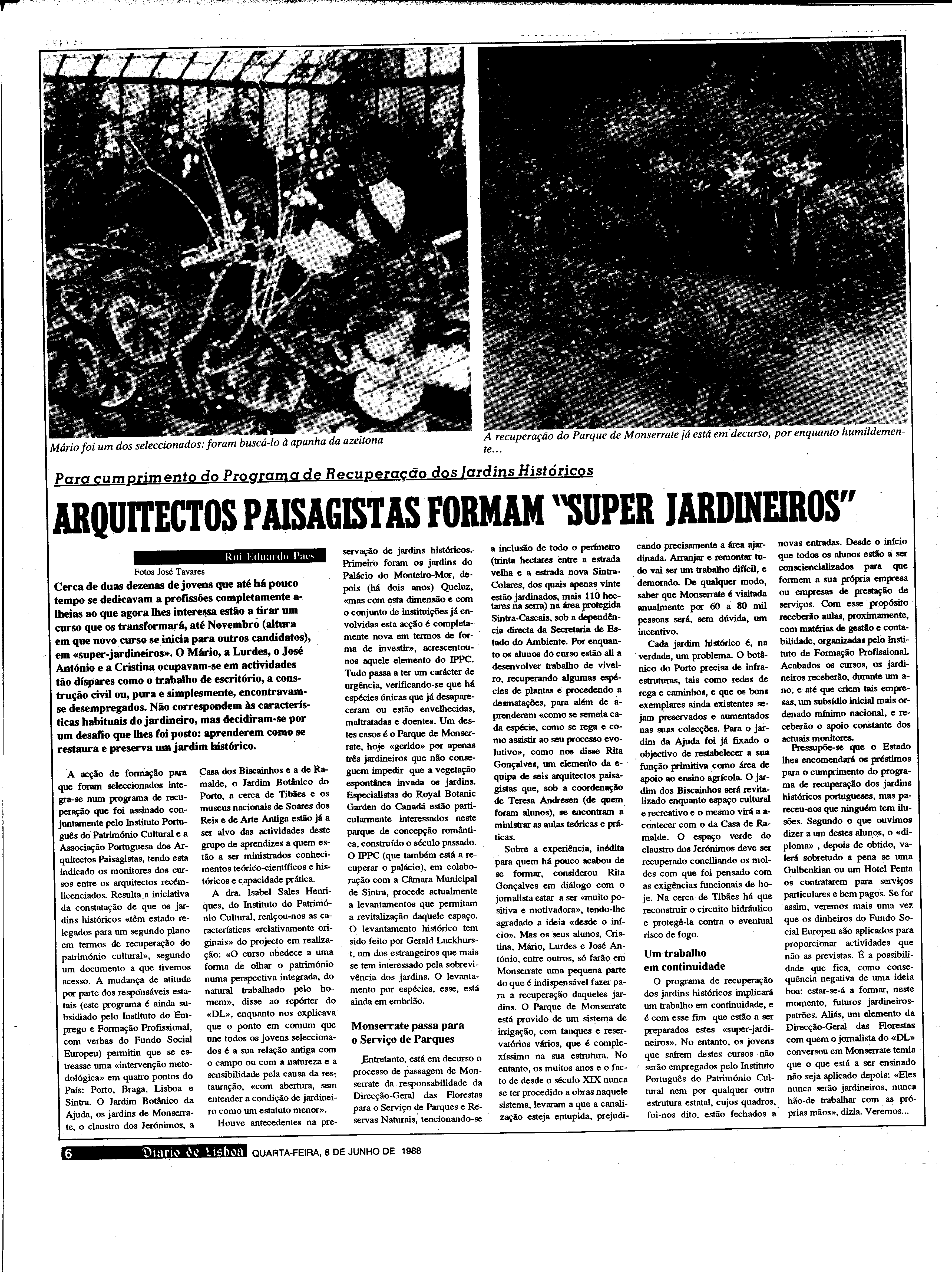 06886.203.31167- pag.6
