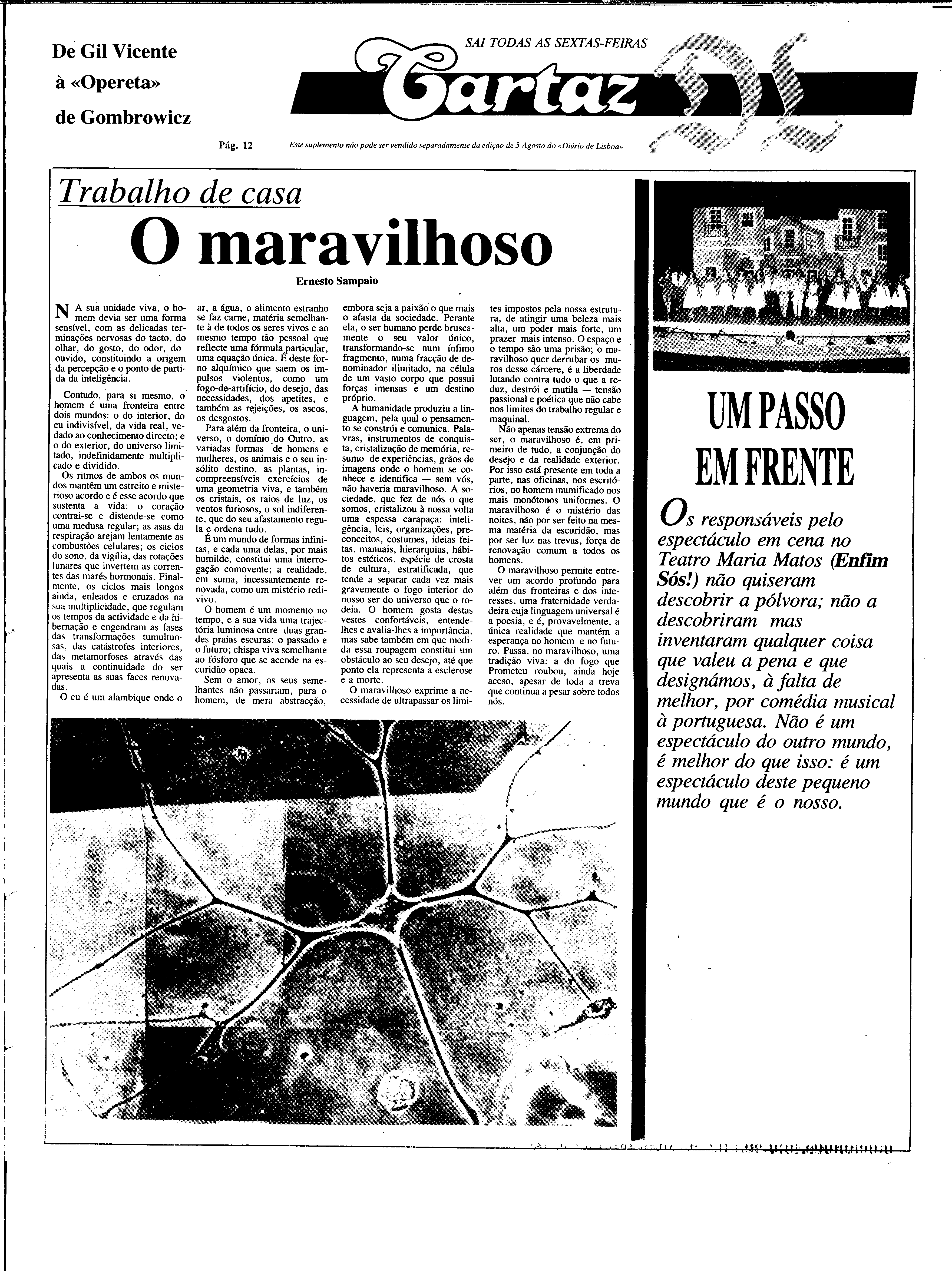 06887.204.31215- pag.29