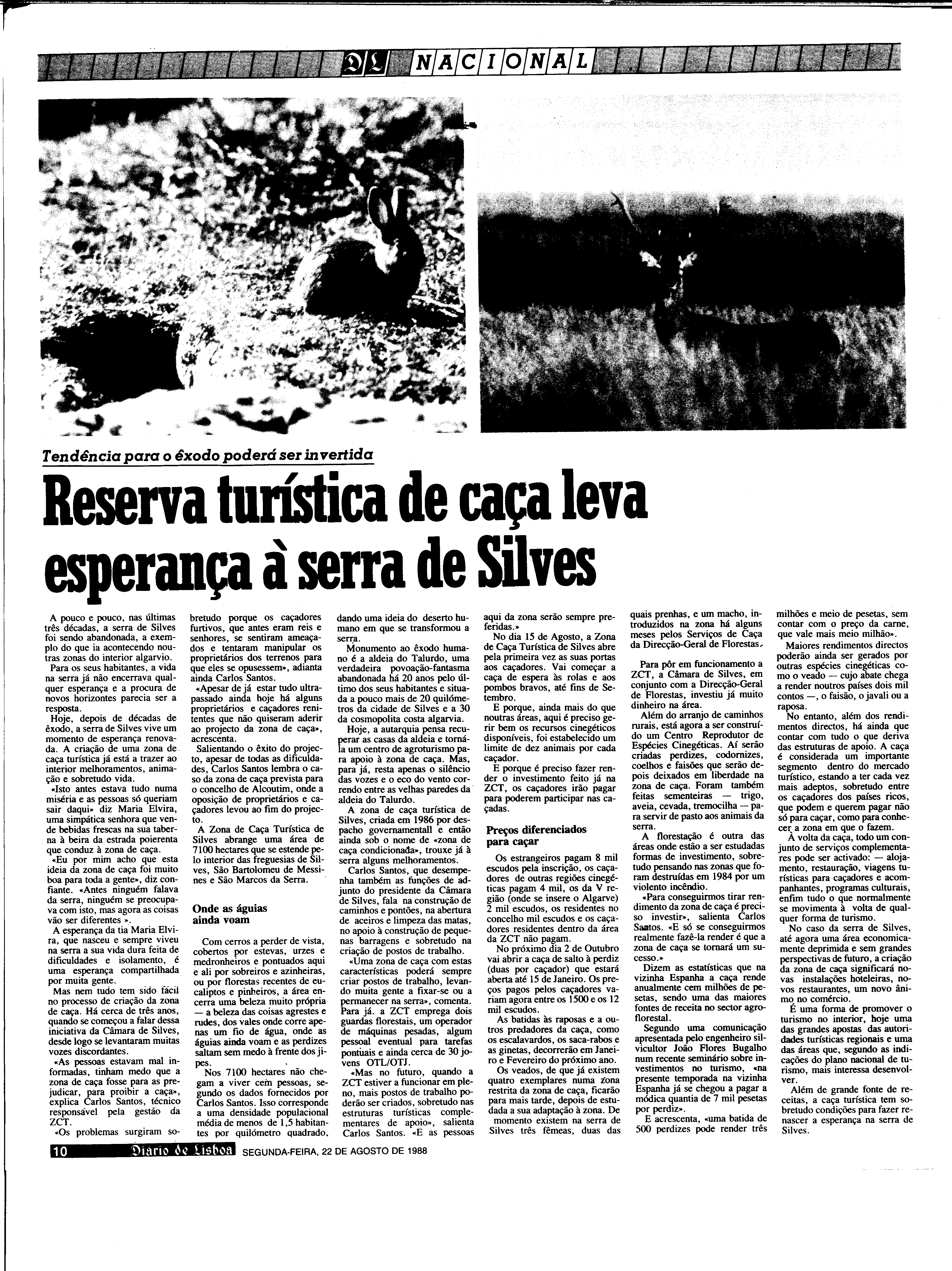 06887.204.31228- pag.10