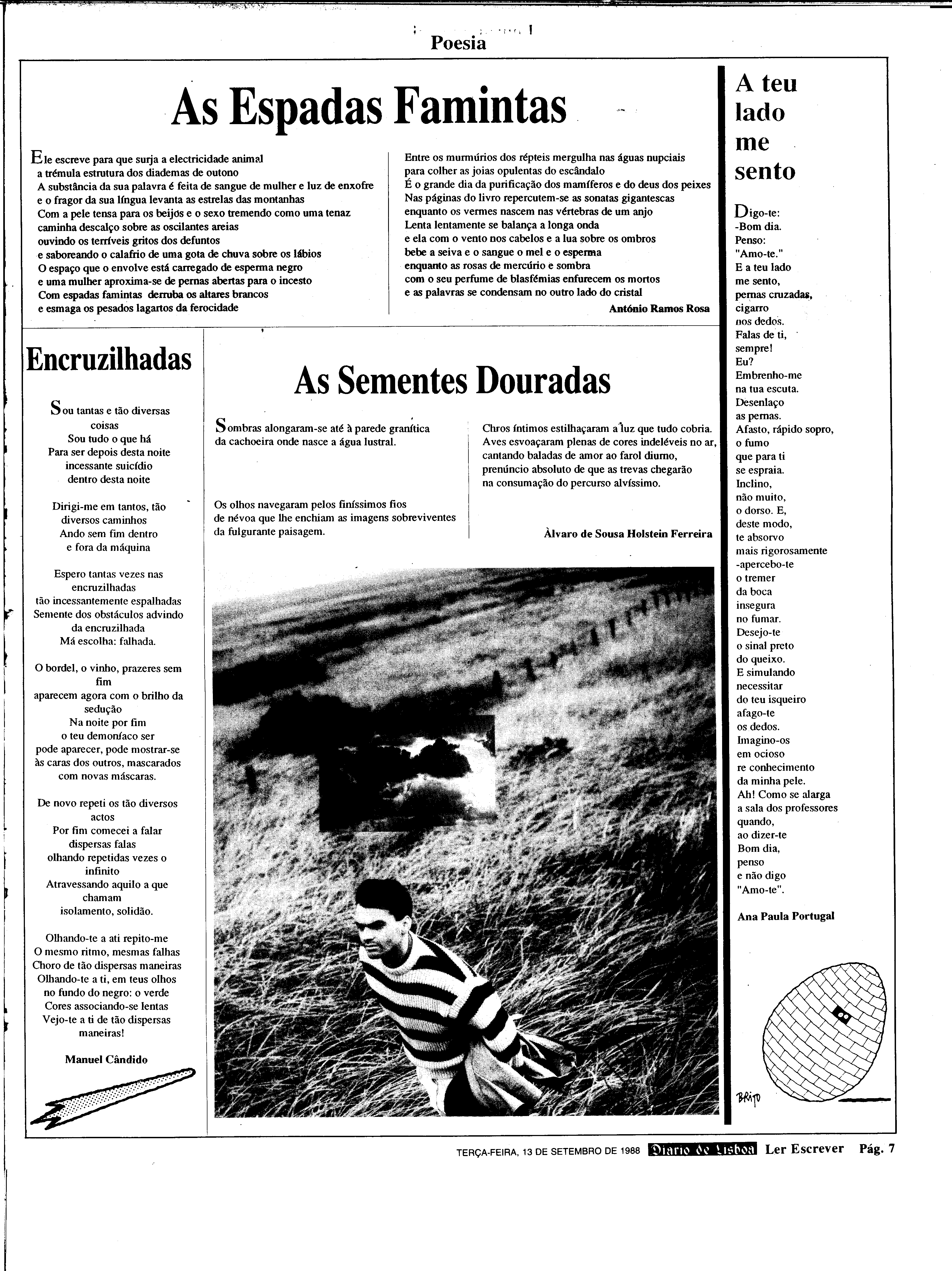 06887.204.31248- pag.39