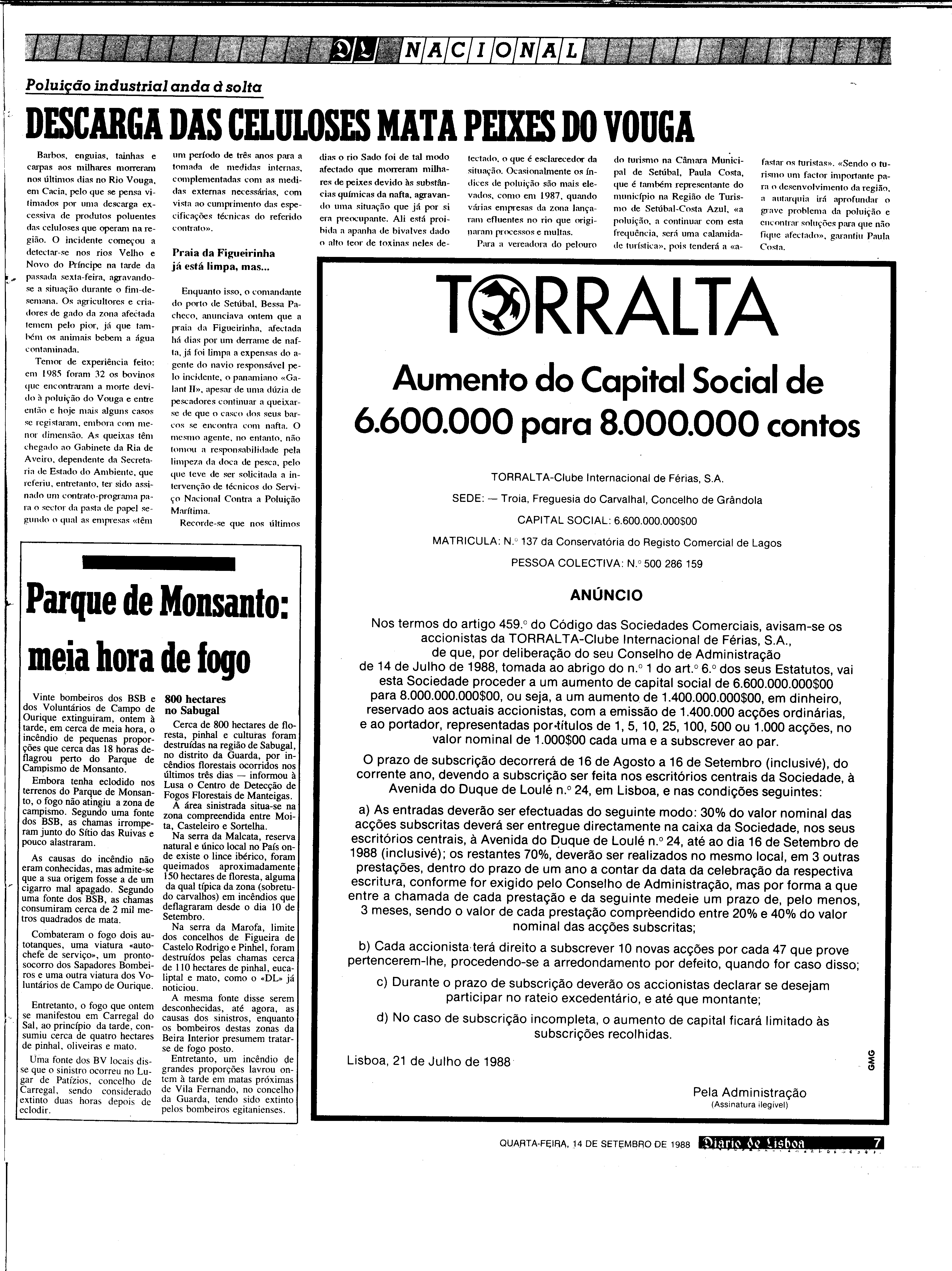 06887.204.31249- pag.7