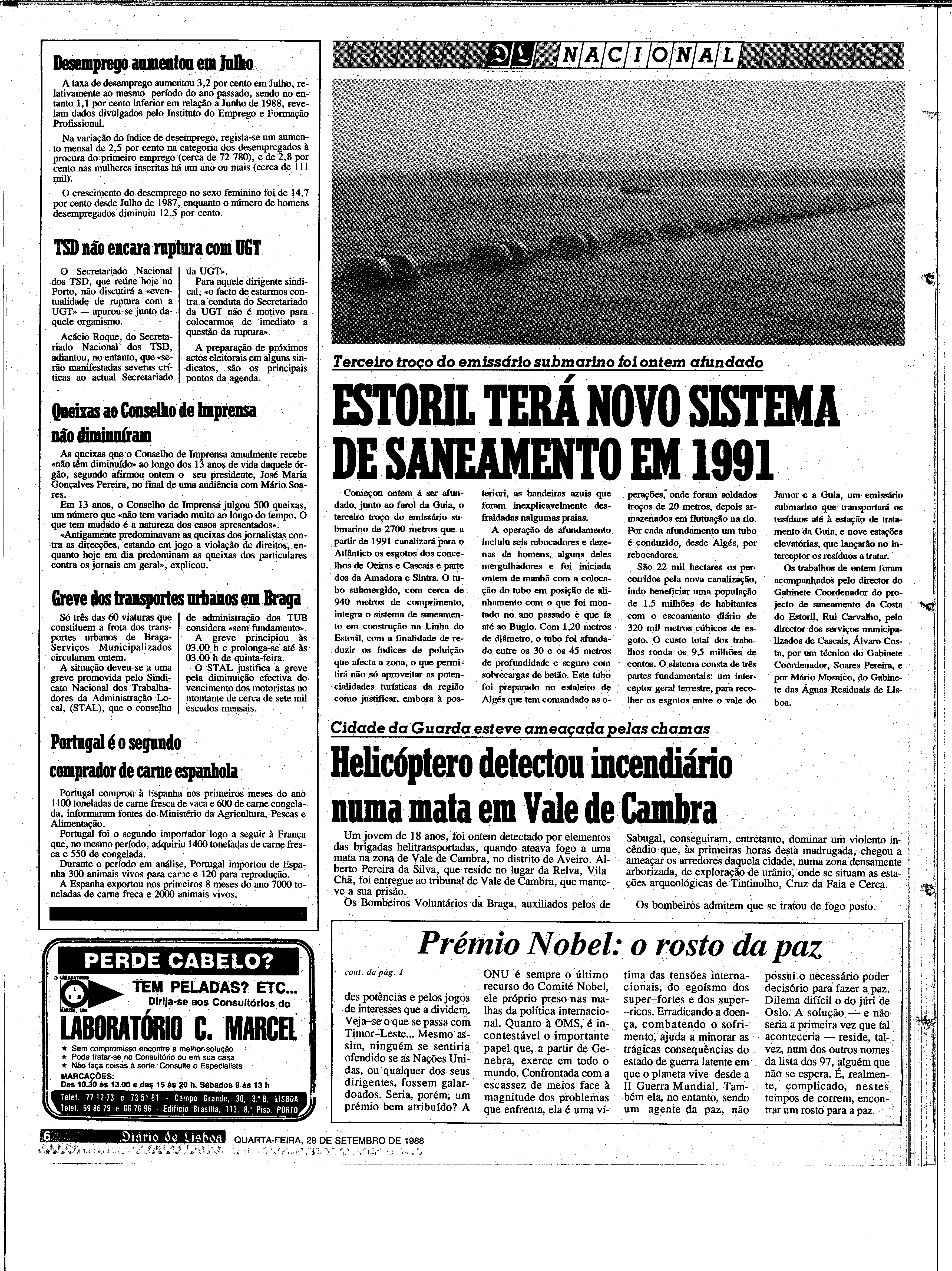 06887.204.31261- pag.6