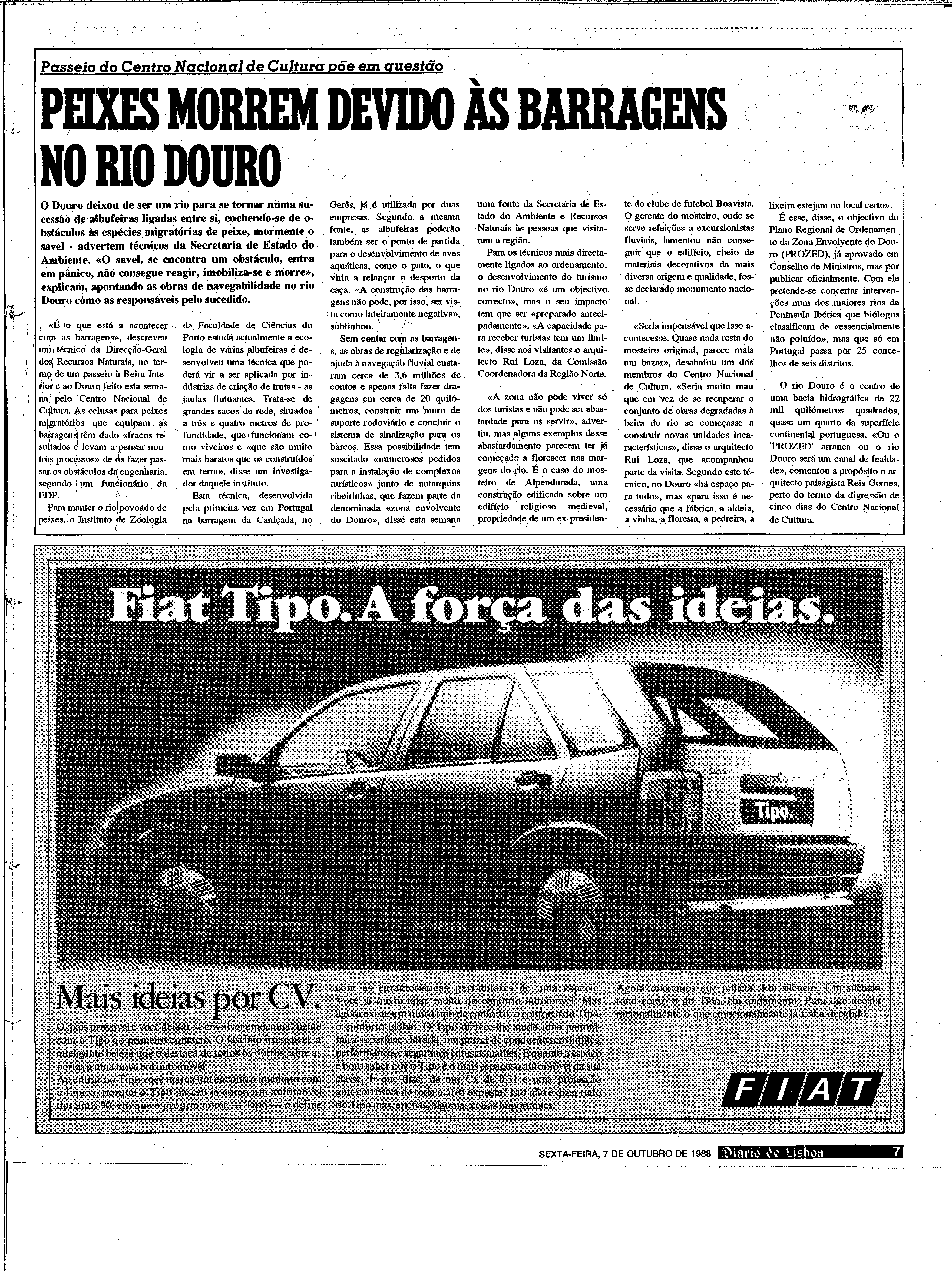06887.204.31268- pag.7