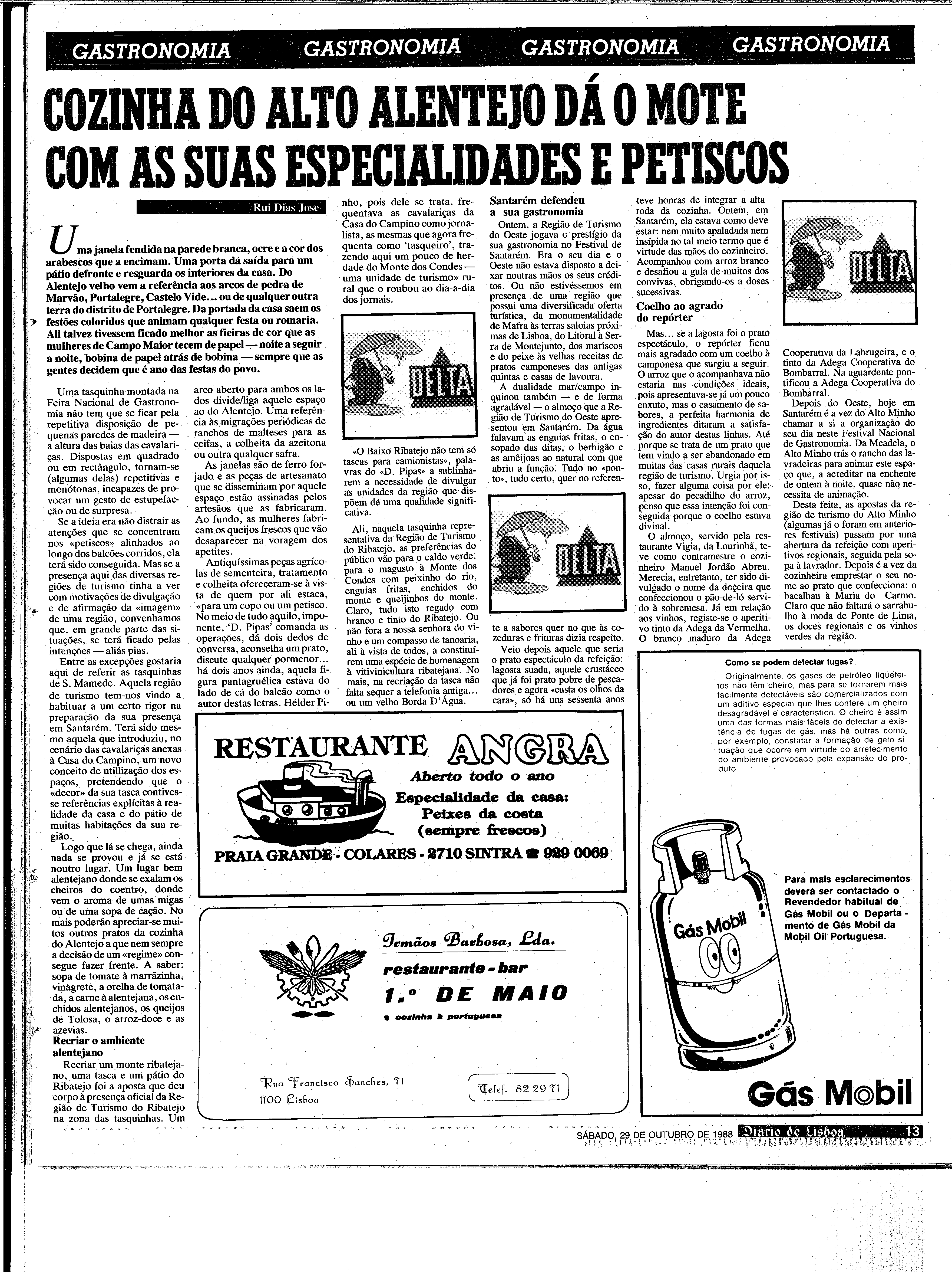06887.204.31287- pag.13