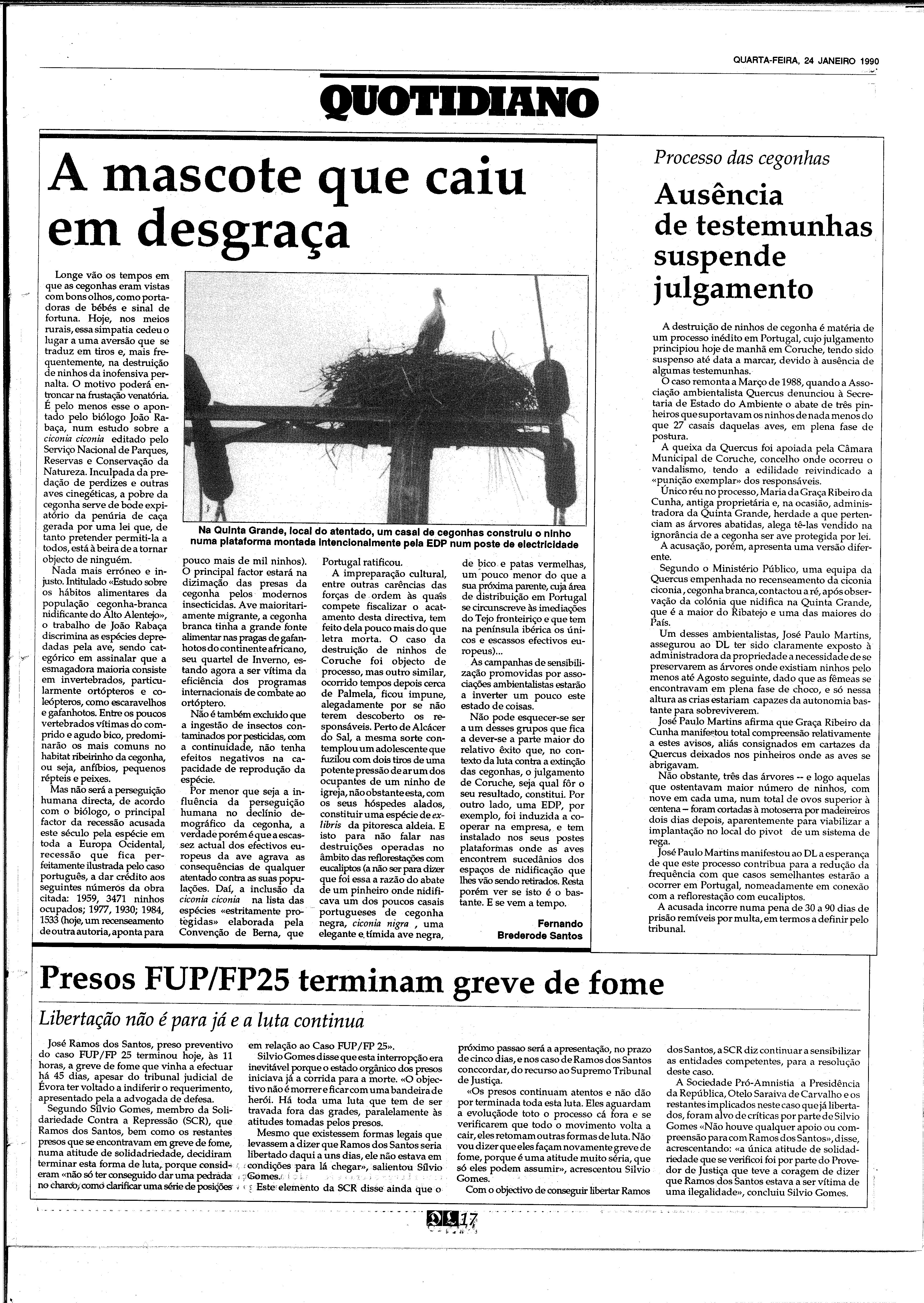 06891.208.31648- pag.17