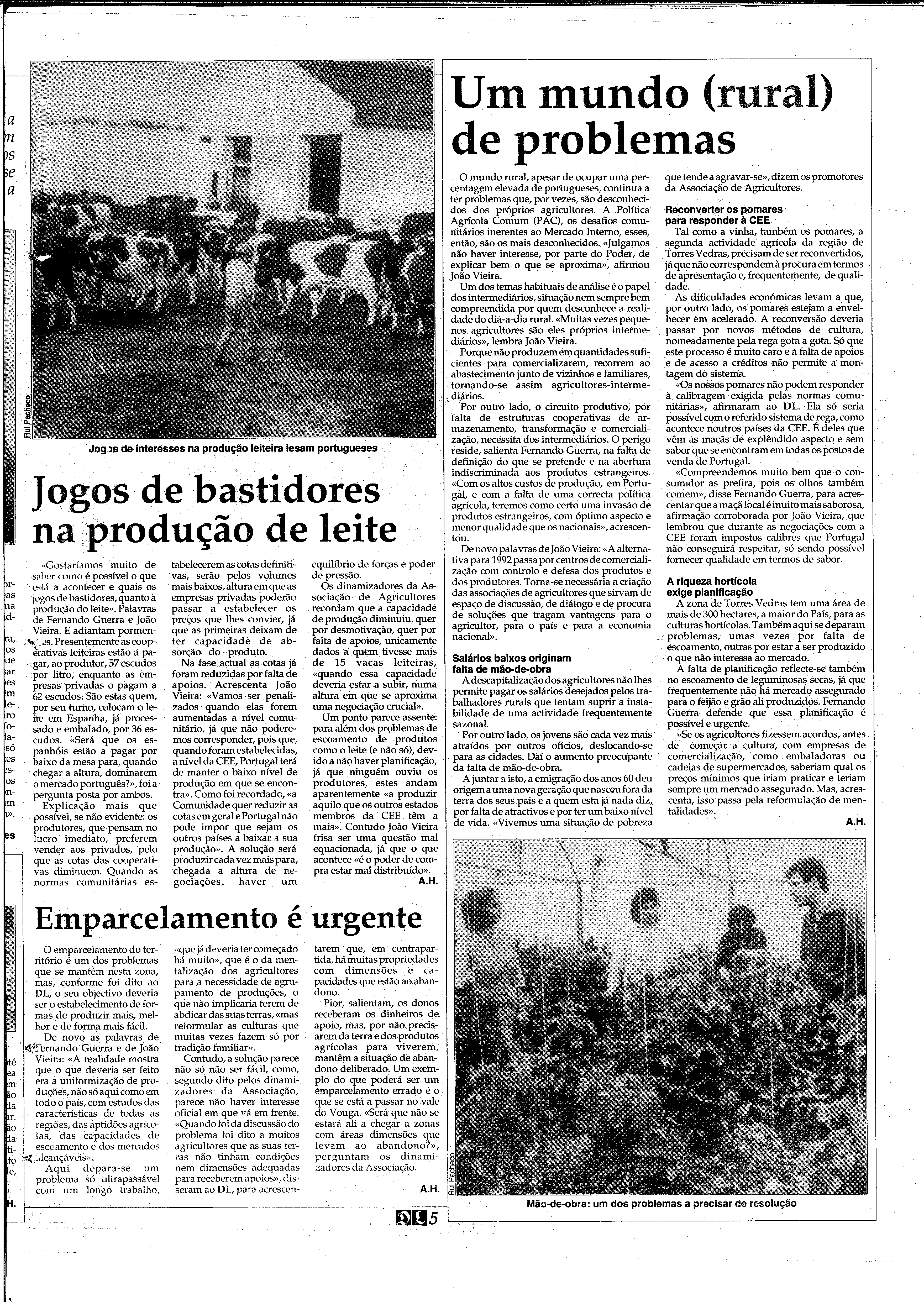 06892.209.31710- pag.37