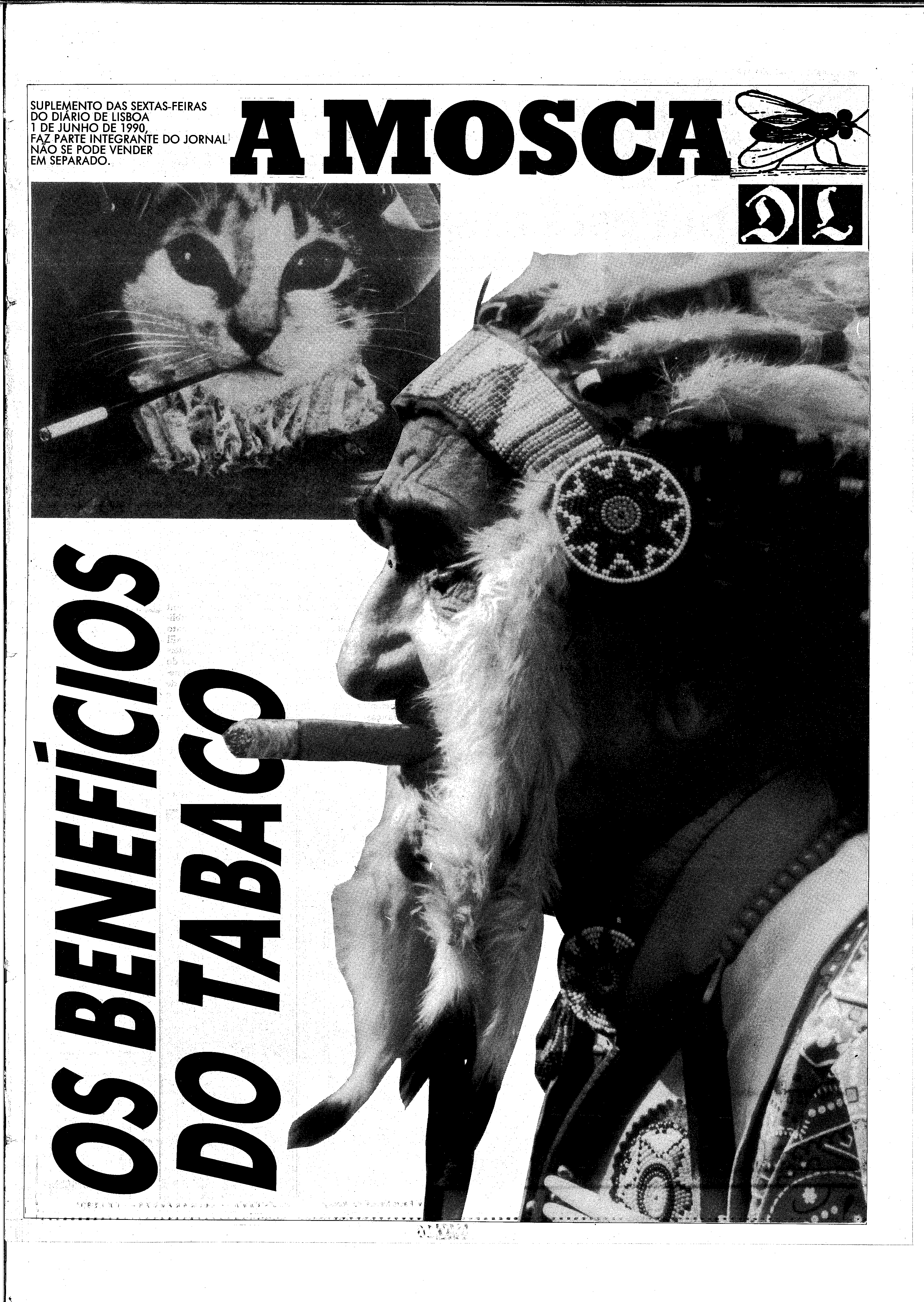 06892.209.31736- pag.33
