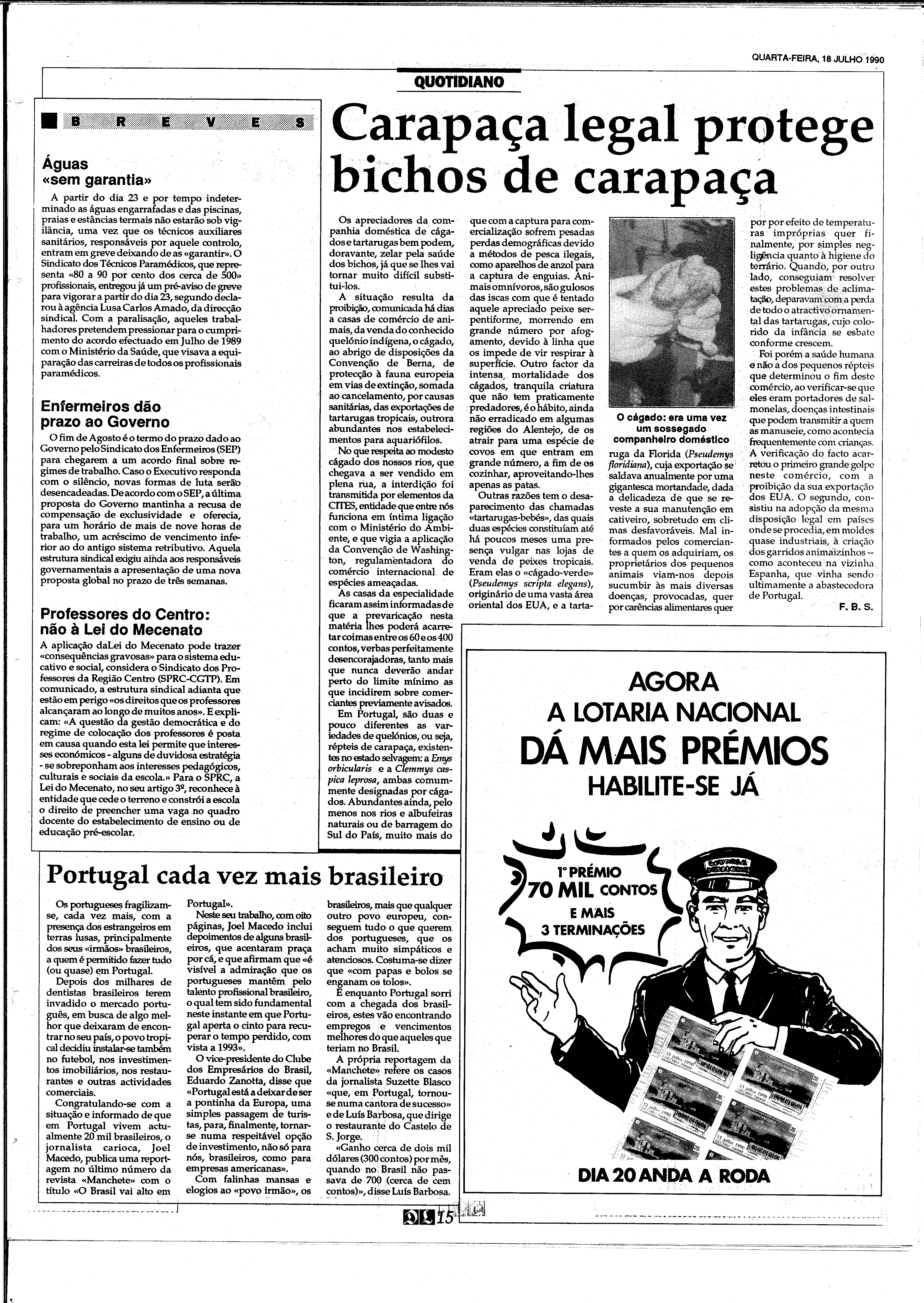 06893.210.31767- pag.15