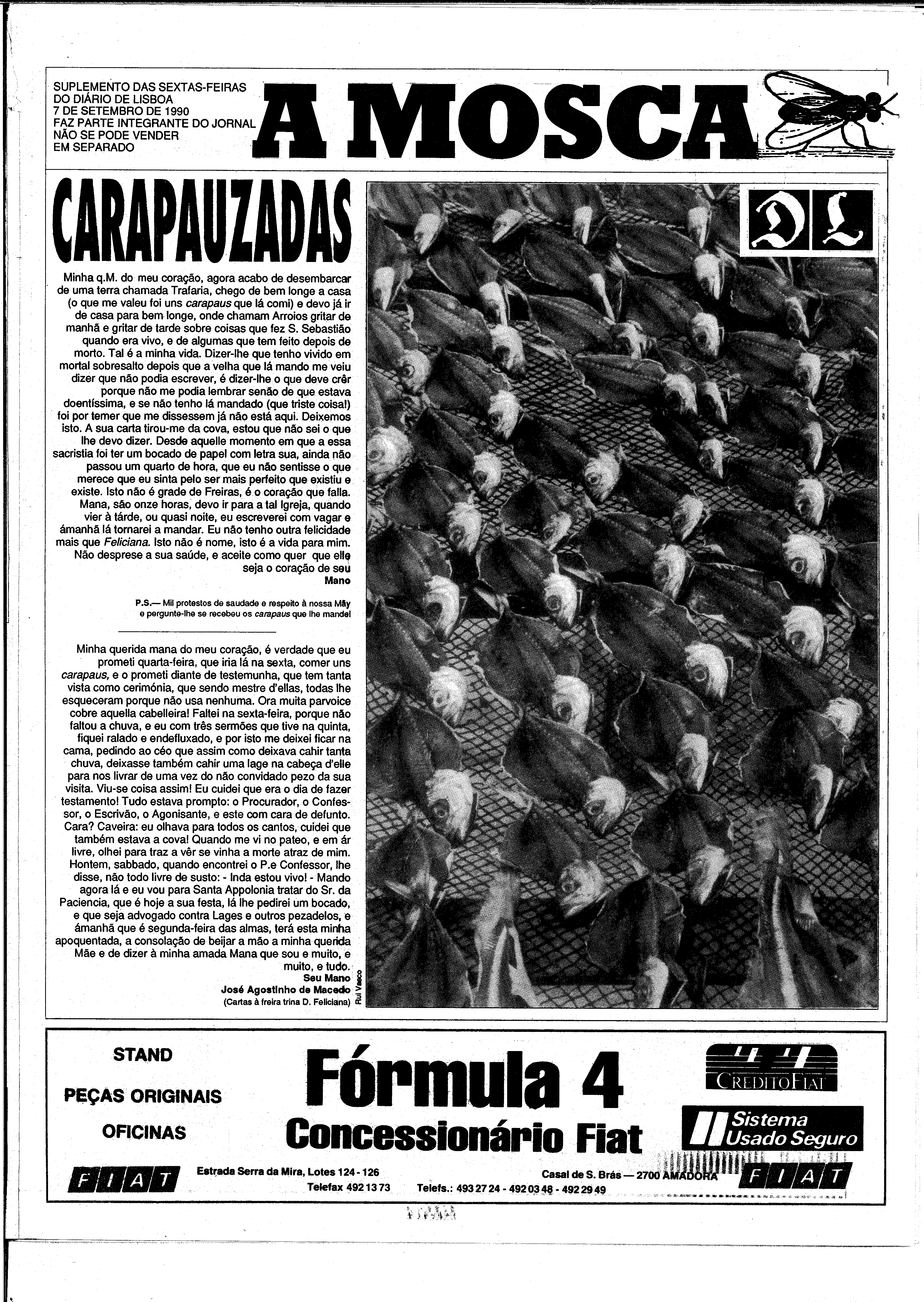 06893.210.31803- pag.29