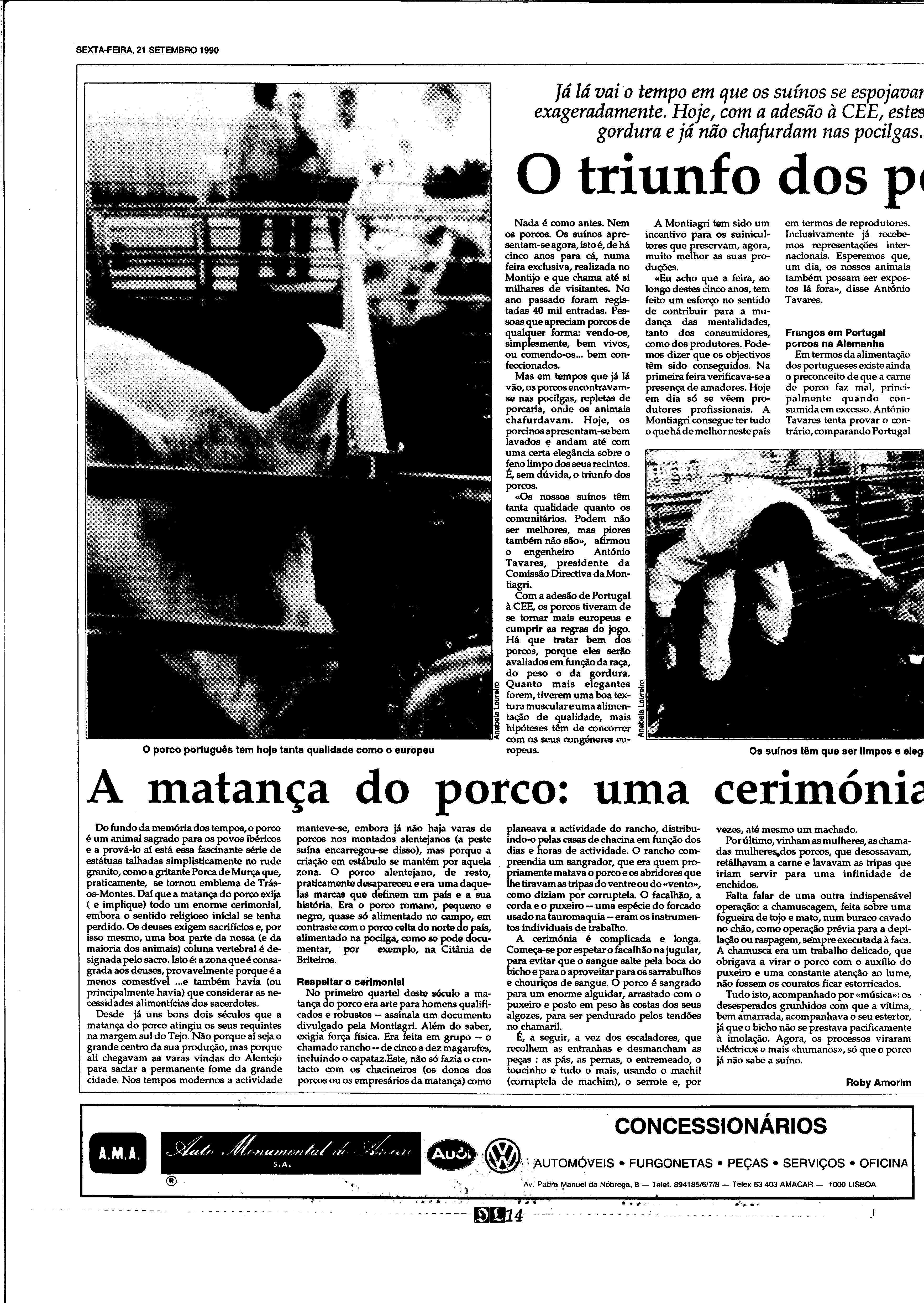 06893.210.31813- pag.14