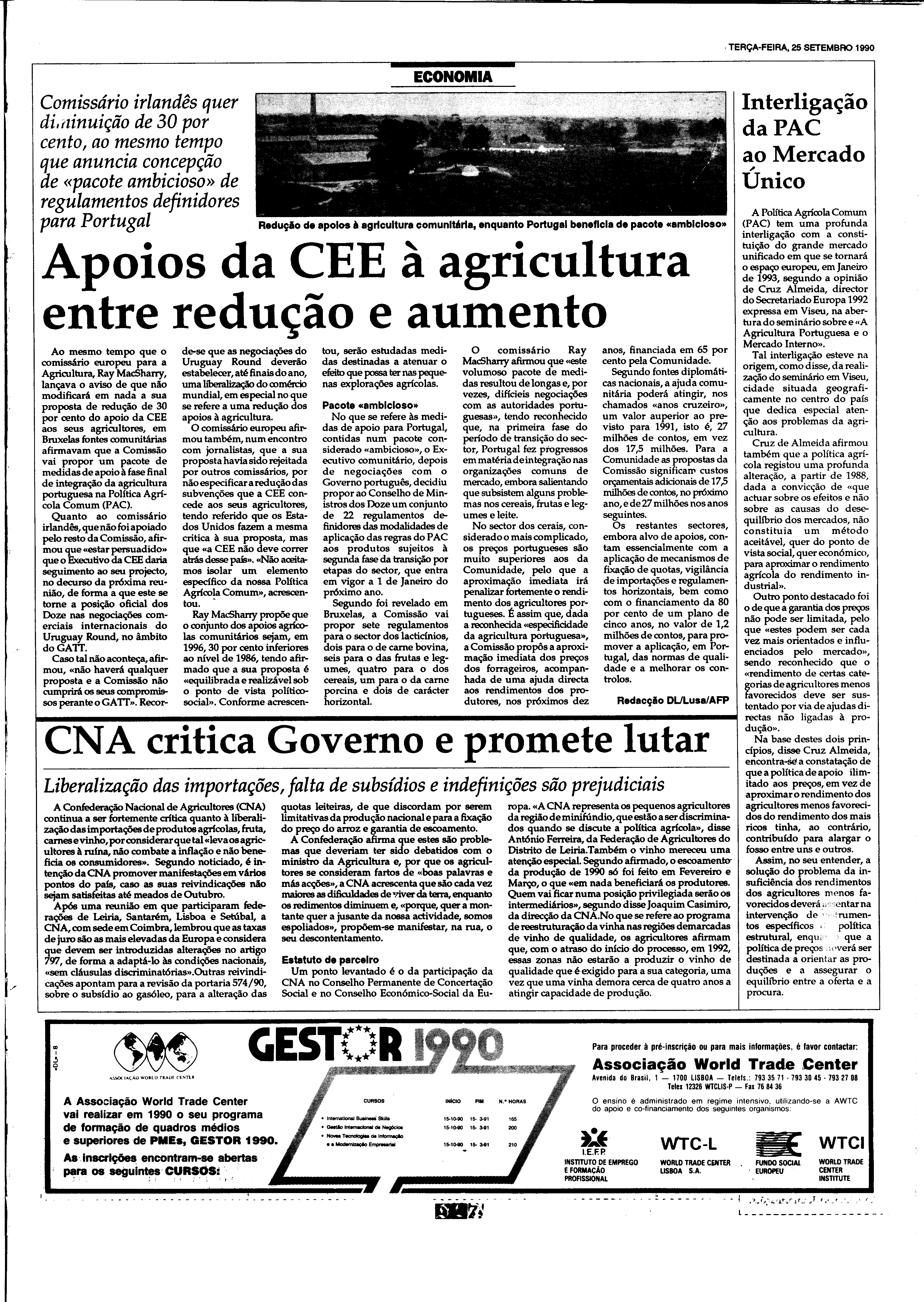 06893.210.31815- pag.31