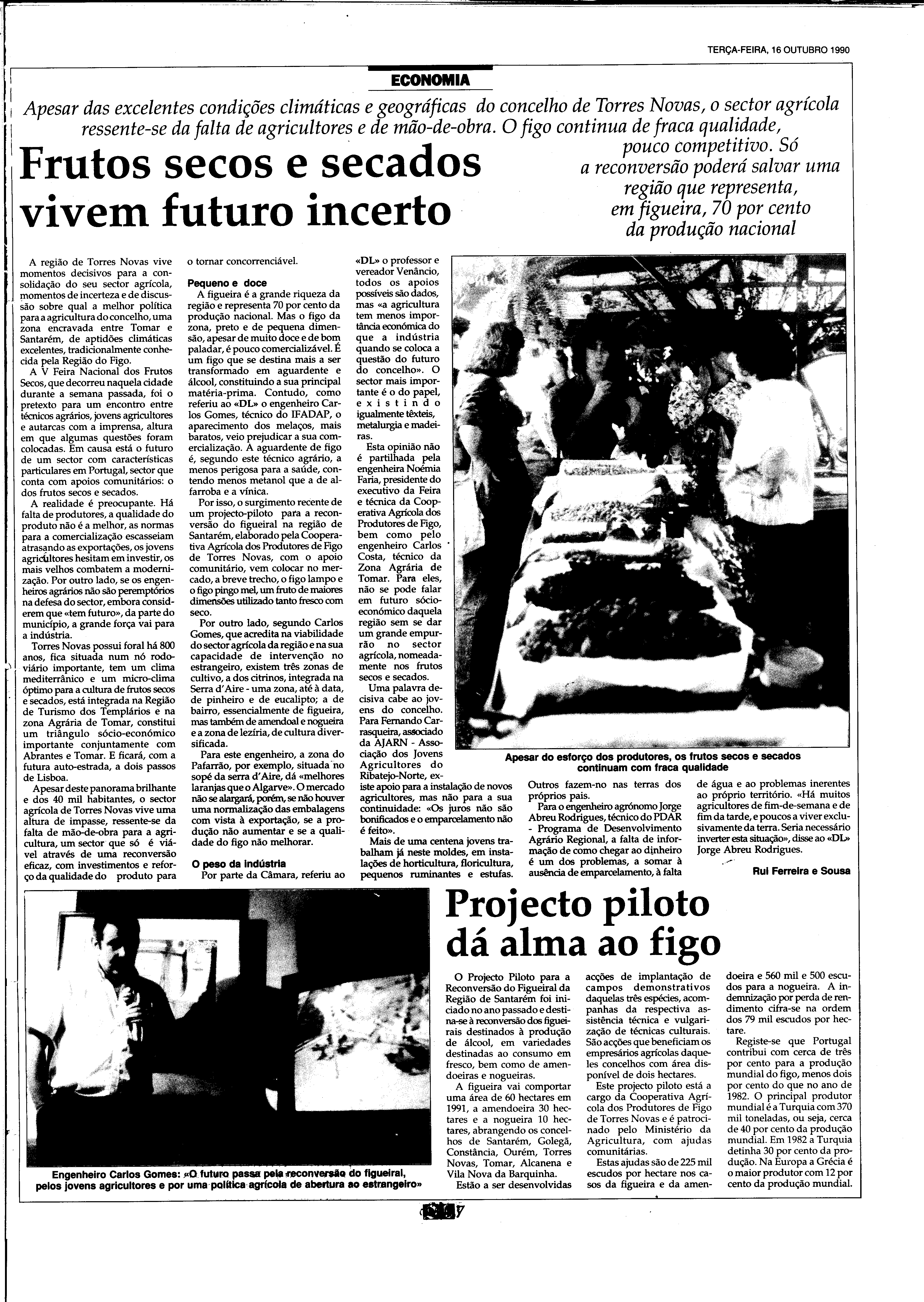 06893.210.31829- pag.31