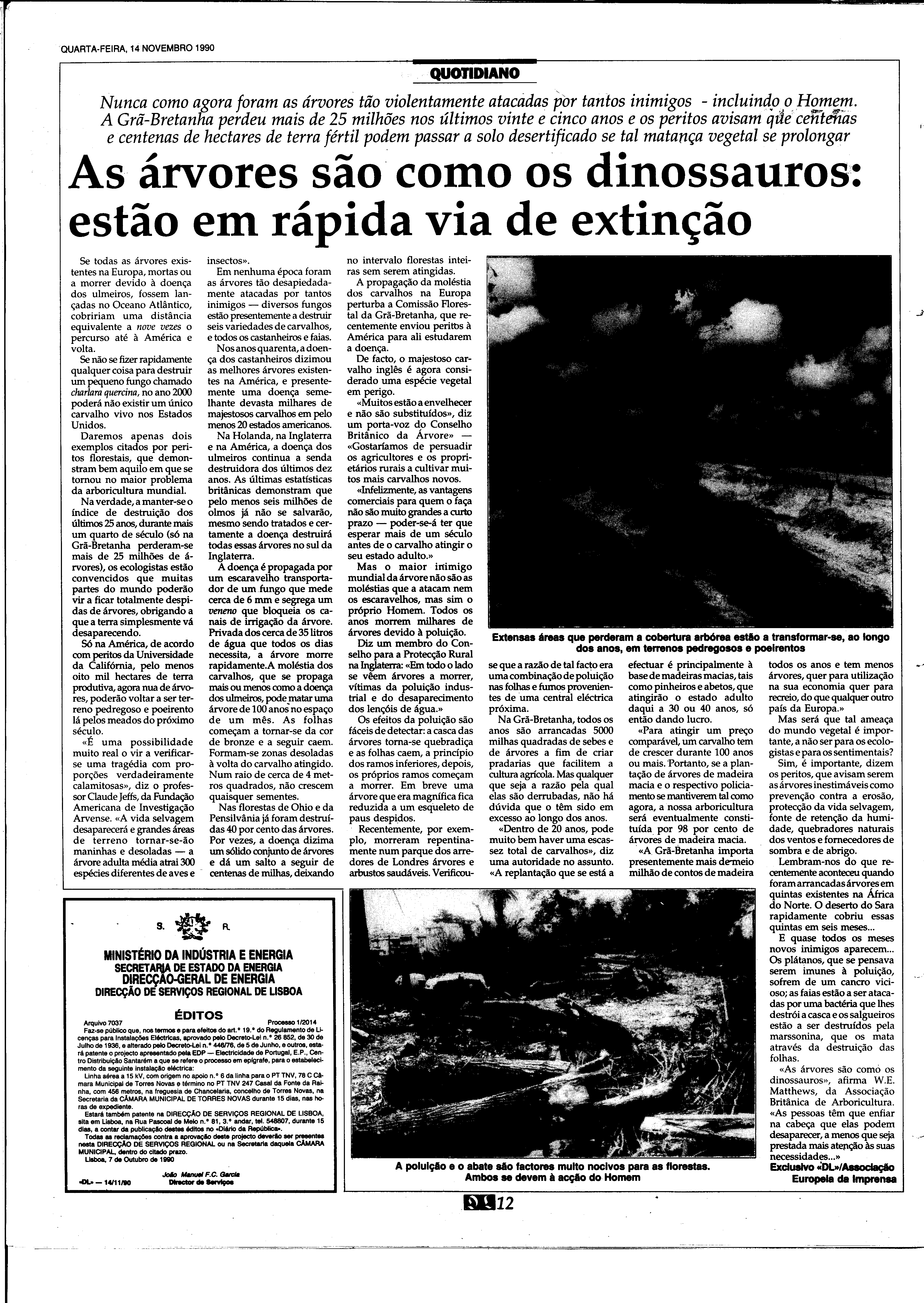 06893.210.31849- pag.12