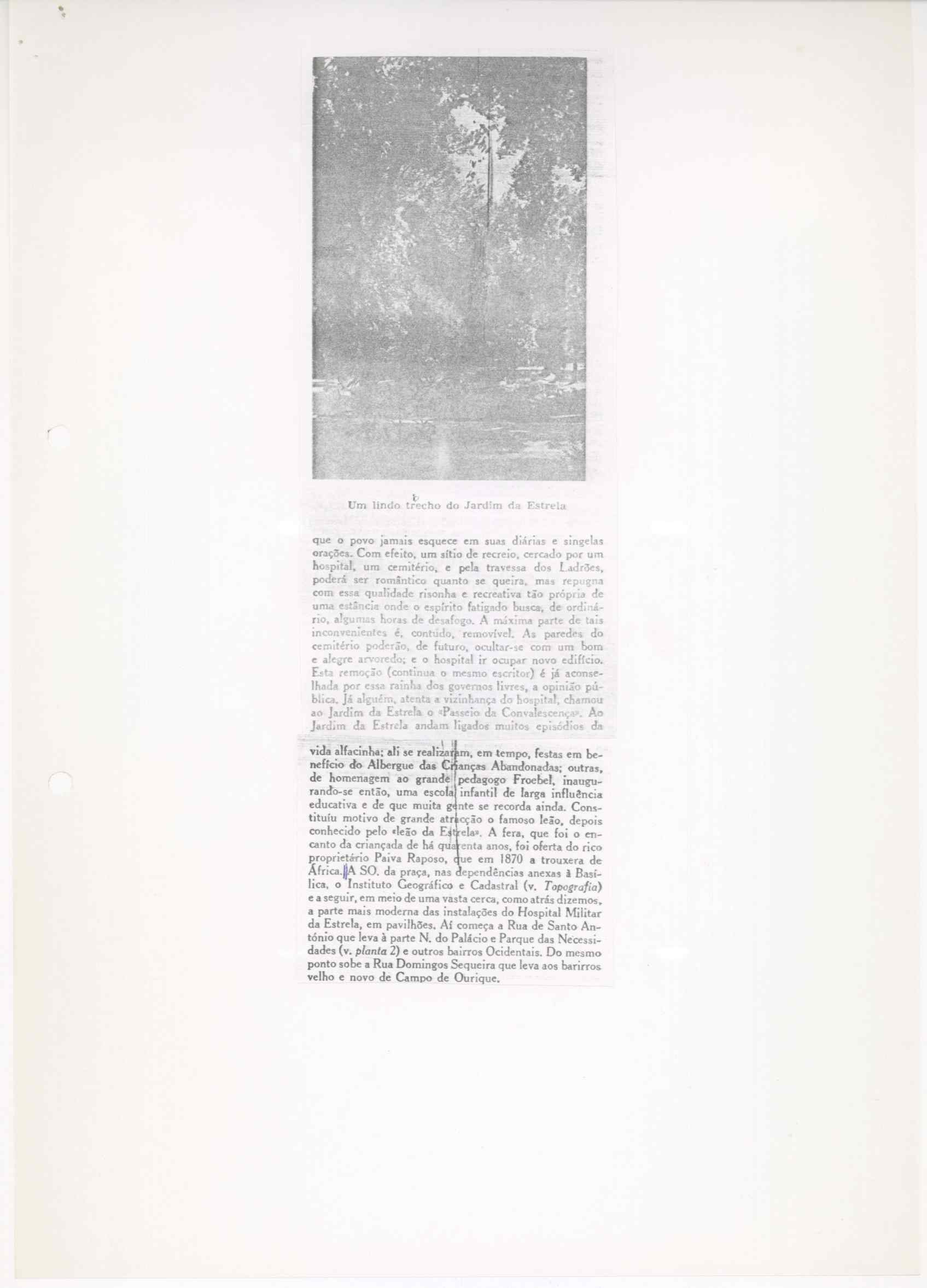 07461.008.001- pag.10