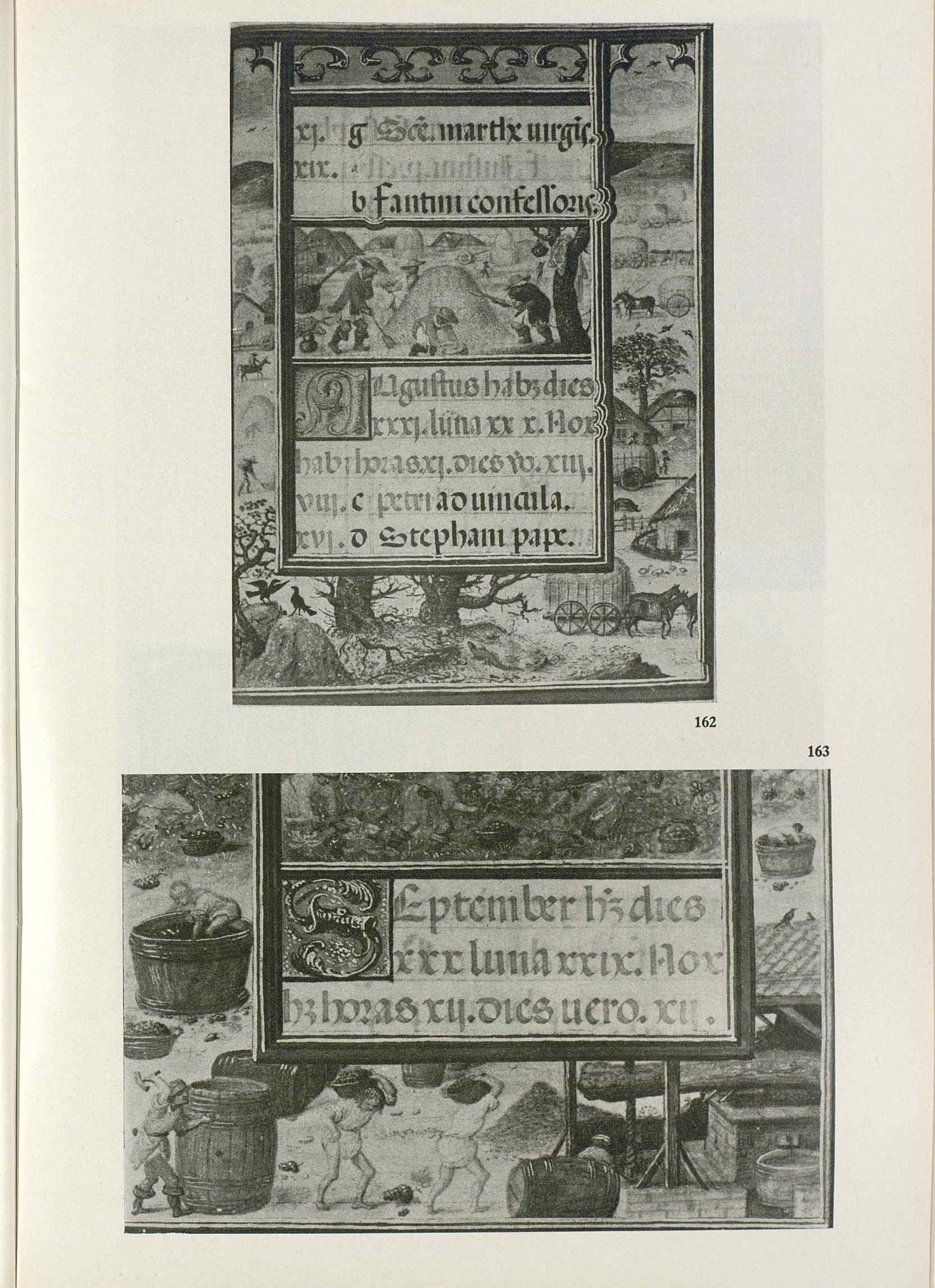 07466.010.001- pag.231