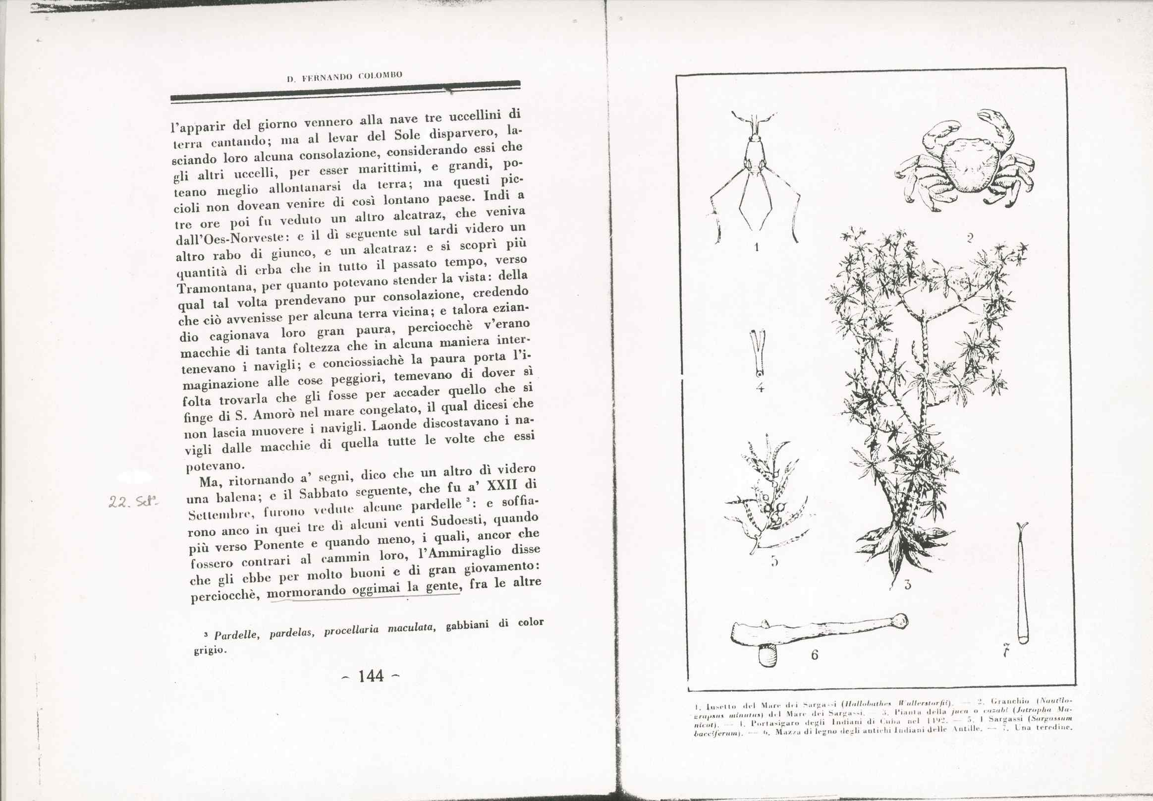 07478.003.001- pag.115