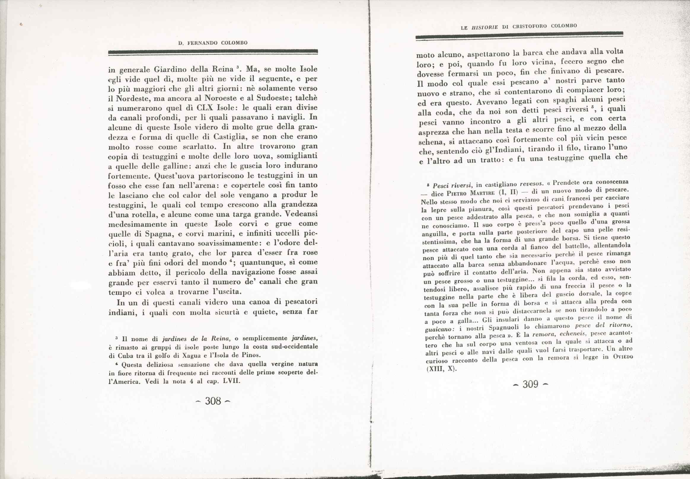 07478.003.001- pag.213