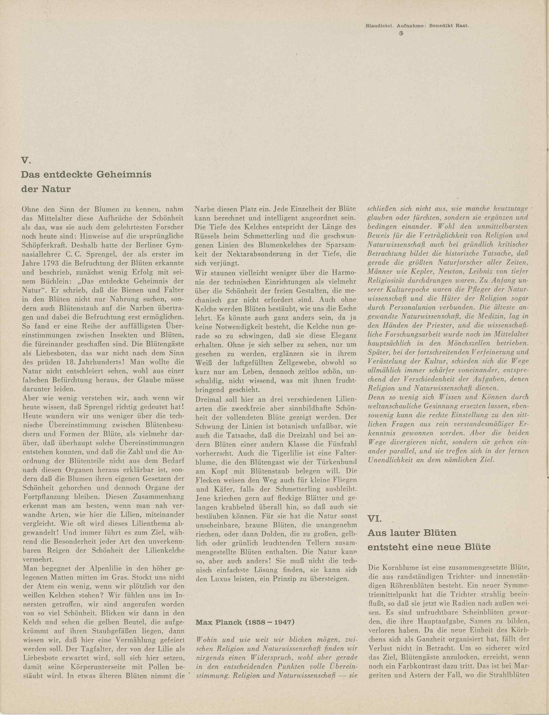 07482.001.002- pag.8