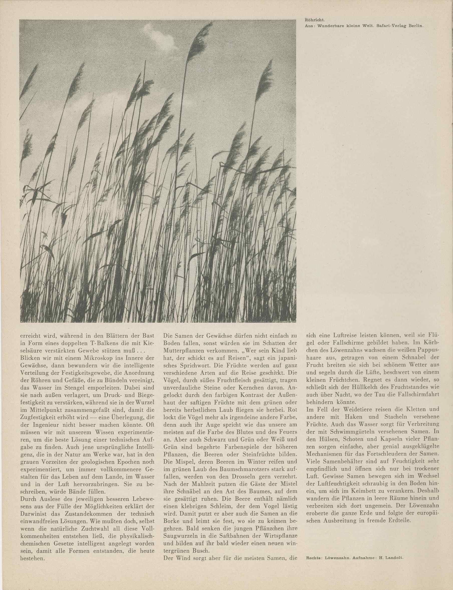 07482.001.002- pag.10