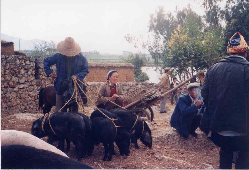 07483.041.001- pag.17