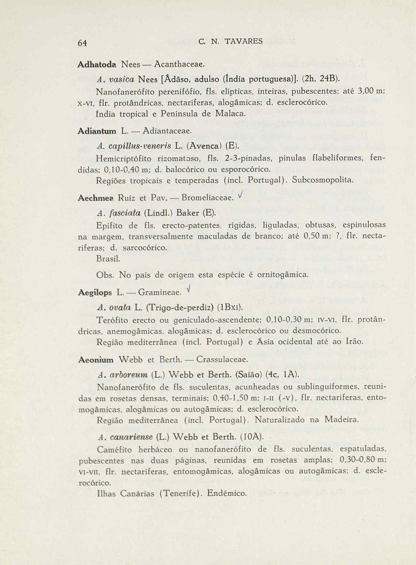 07485.004.001- pag.91