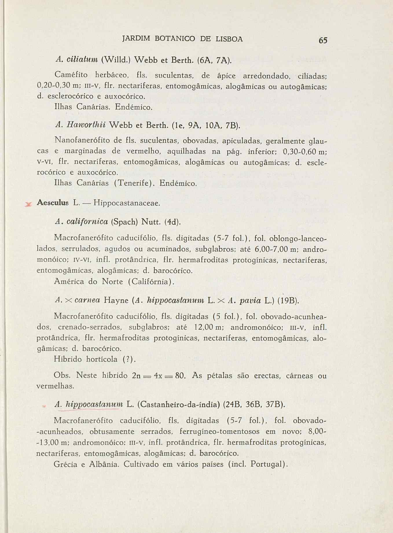 07485.004.001- pag.92