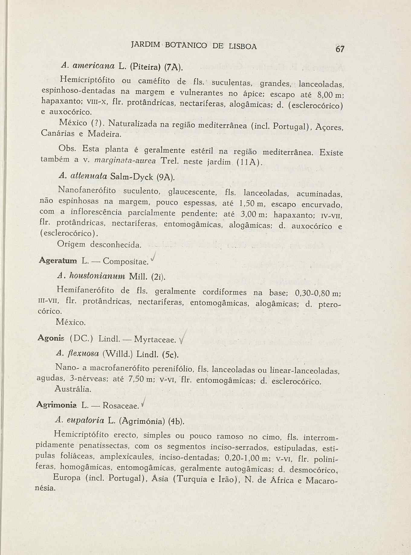 07485.004.001- pag.94