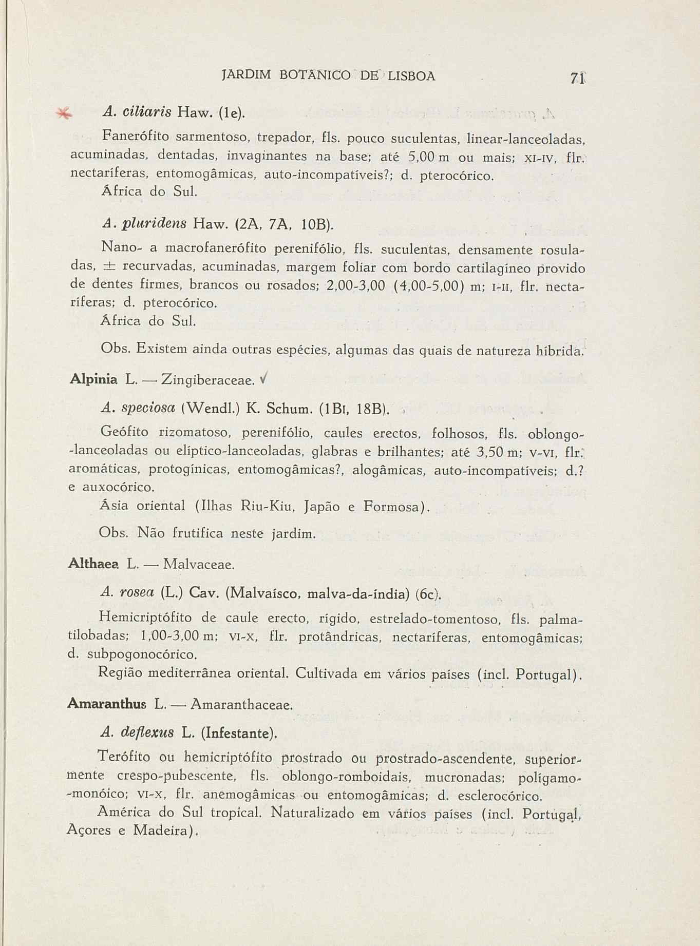 07485.004.001- pag.98