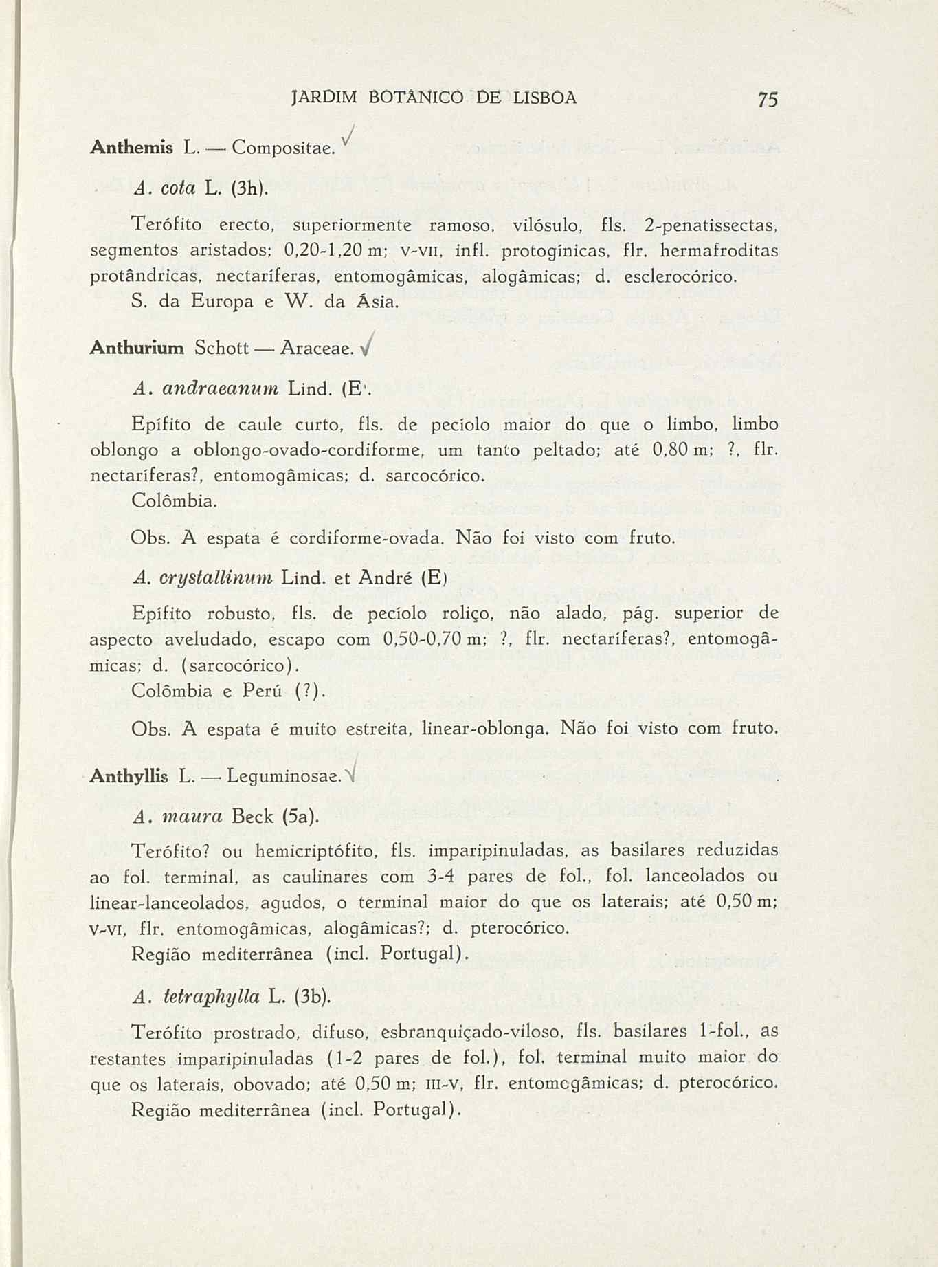 07485.004.001- pag.102