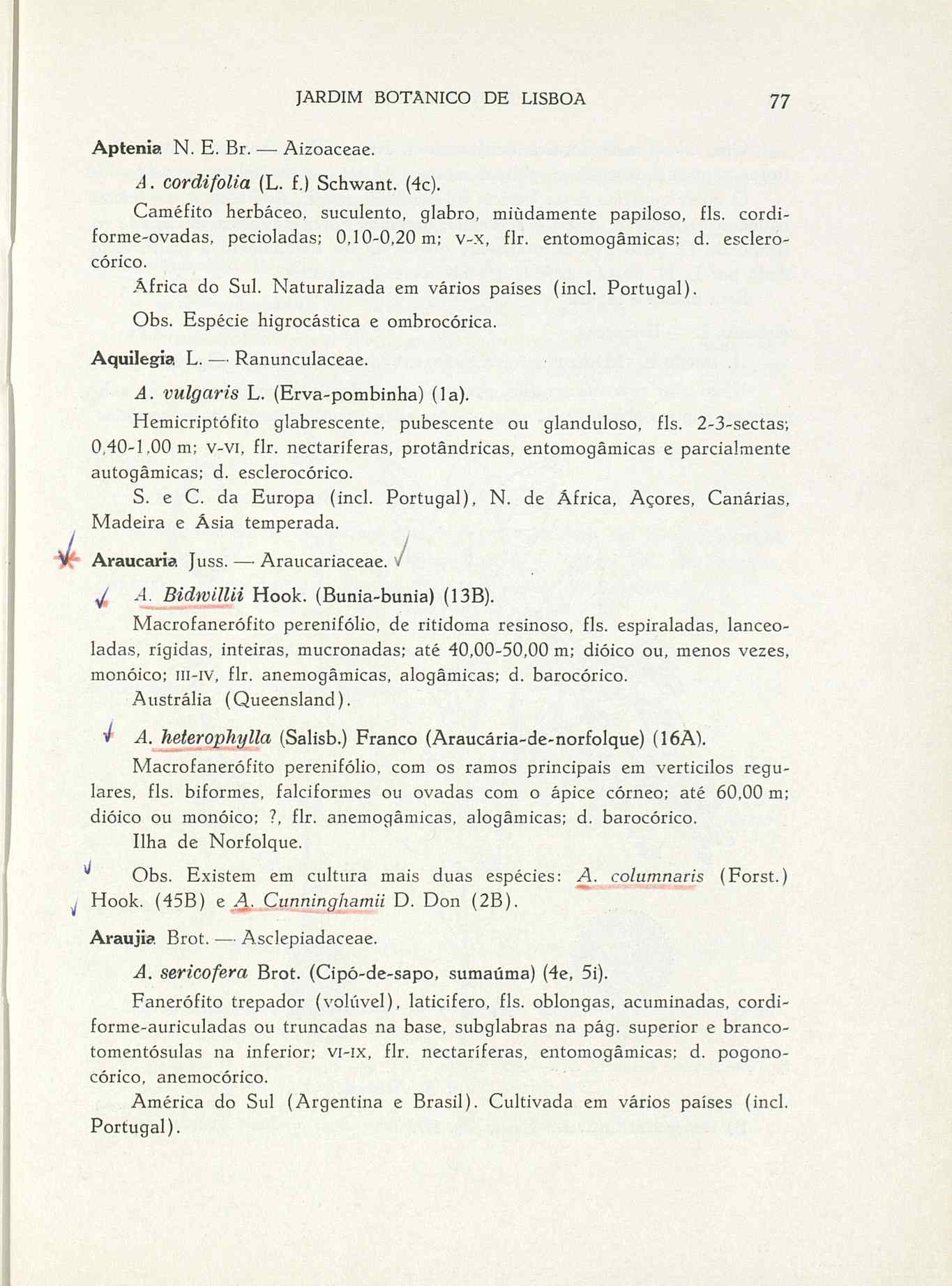 07485.004.001- pag.104