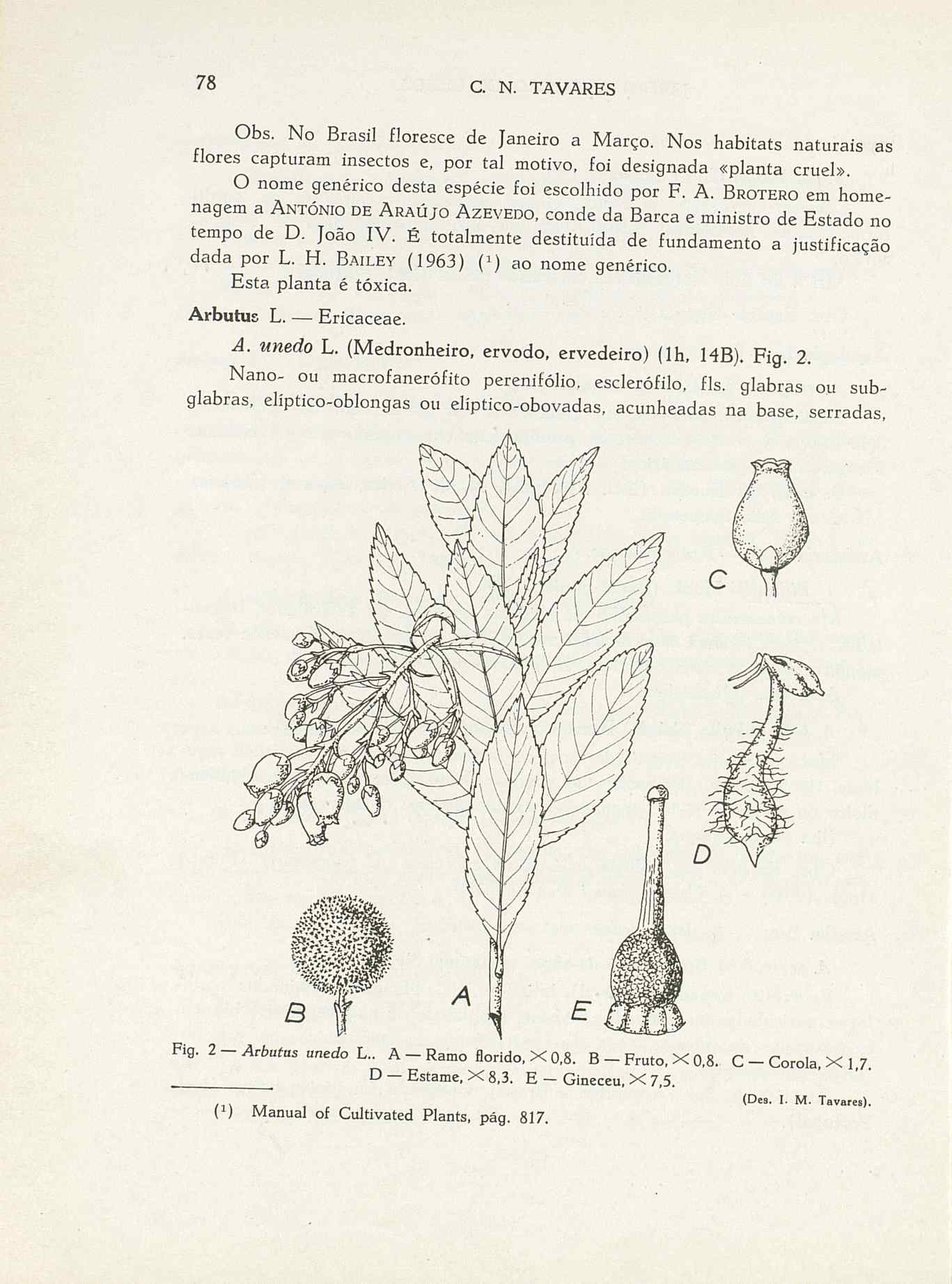 07485.004.001- pag.105