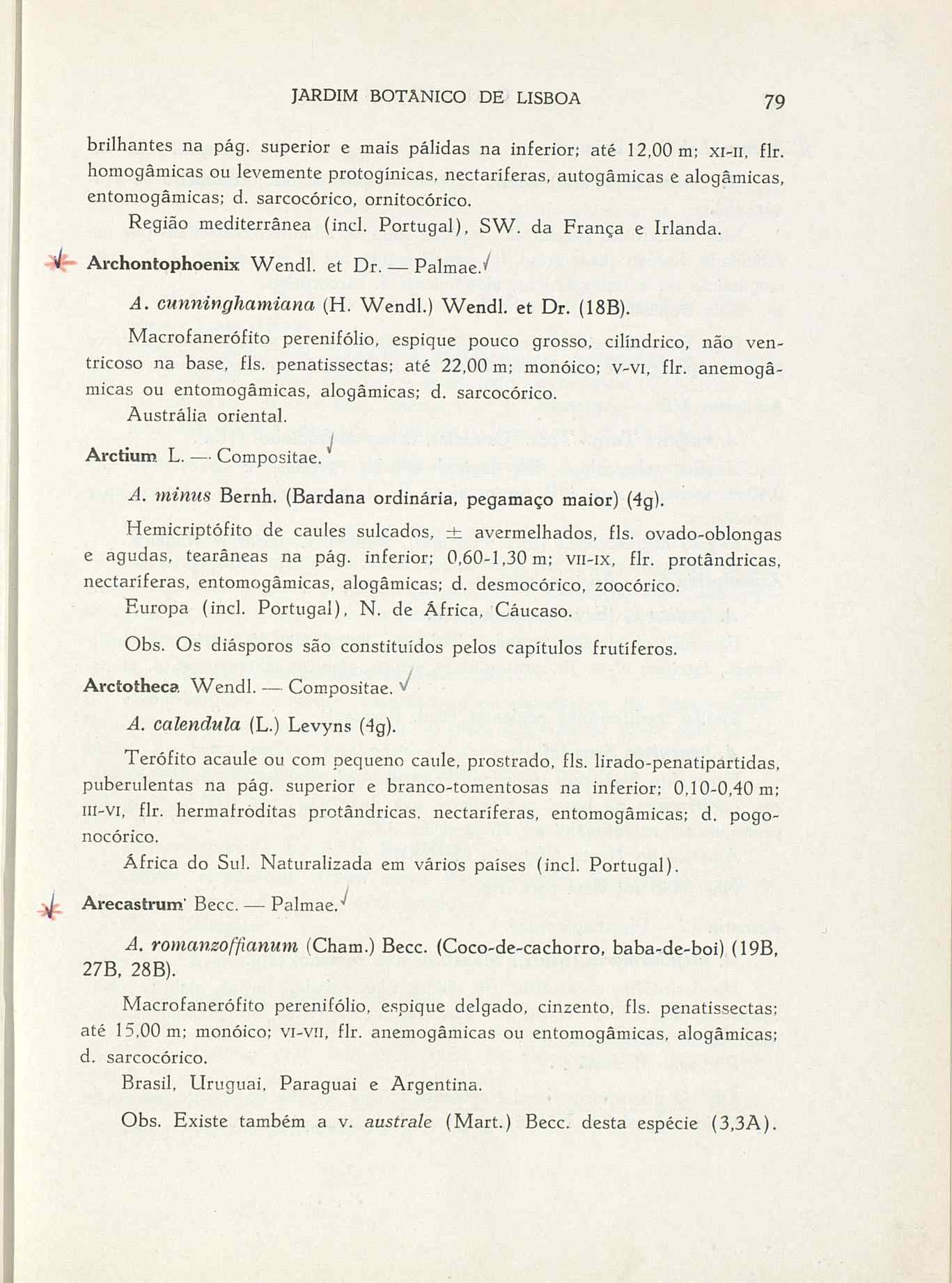 07485.004.001- pag.106