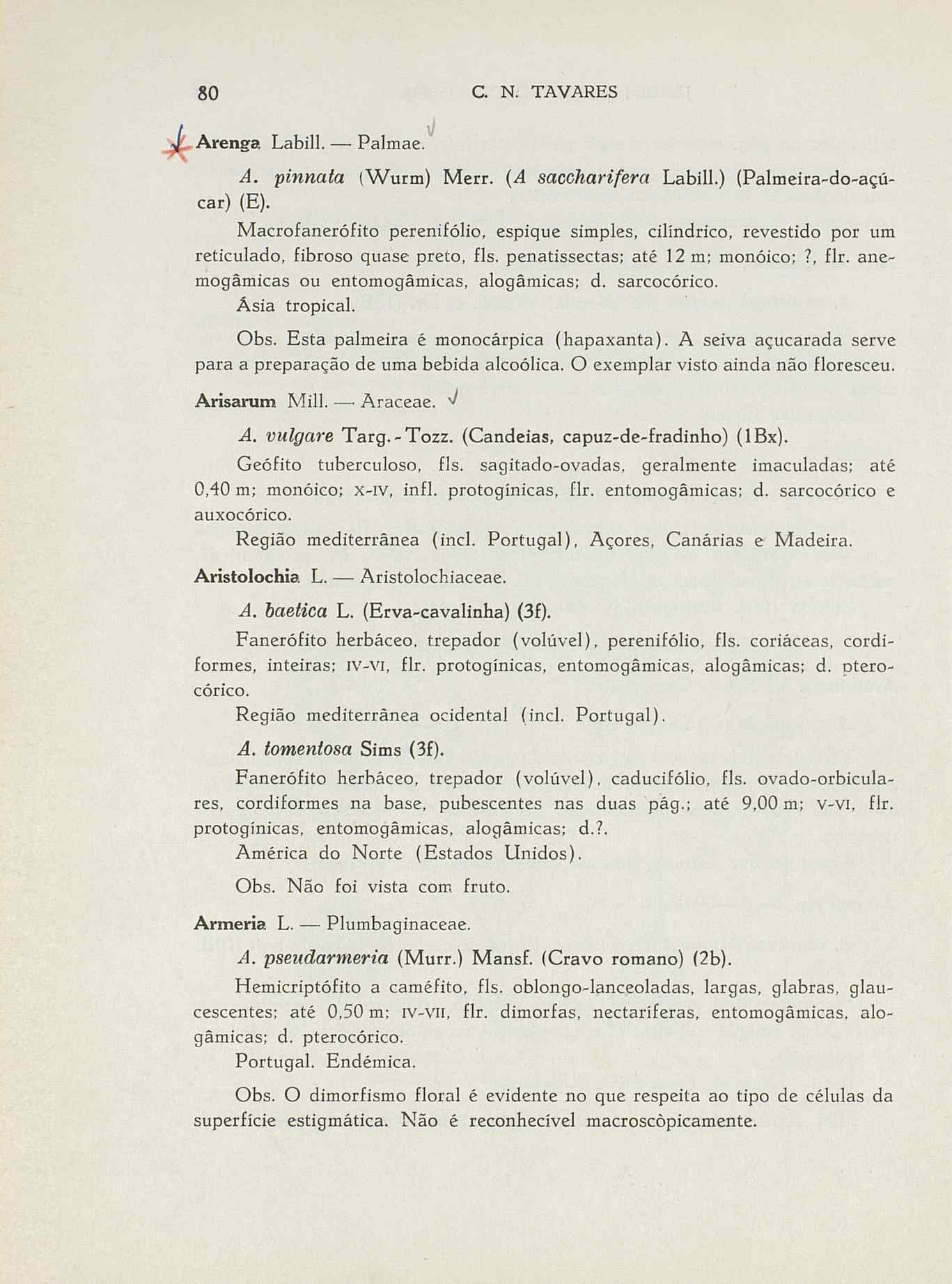 07485.004.001- pag.107