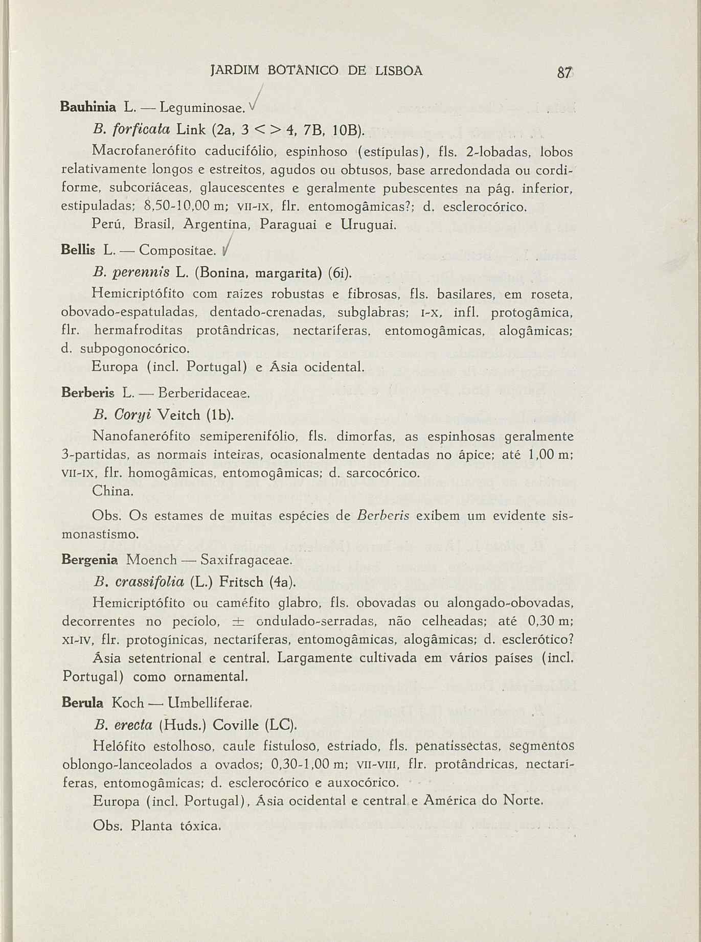 07485.004.001- pag.114