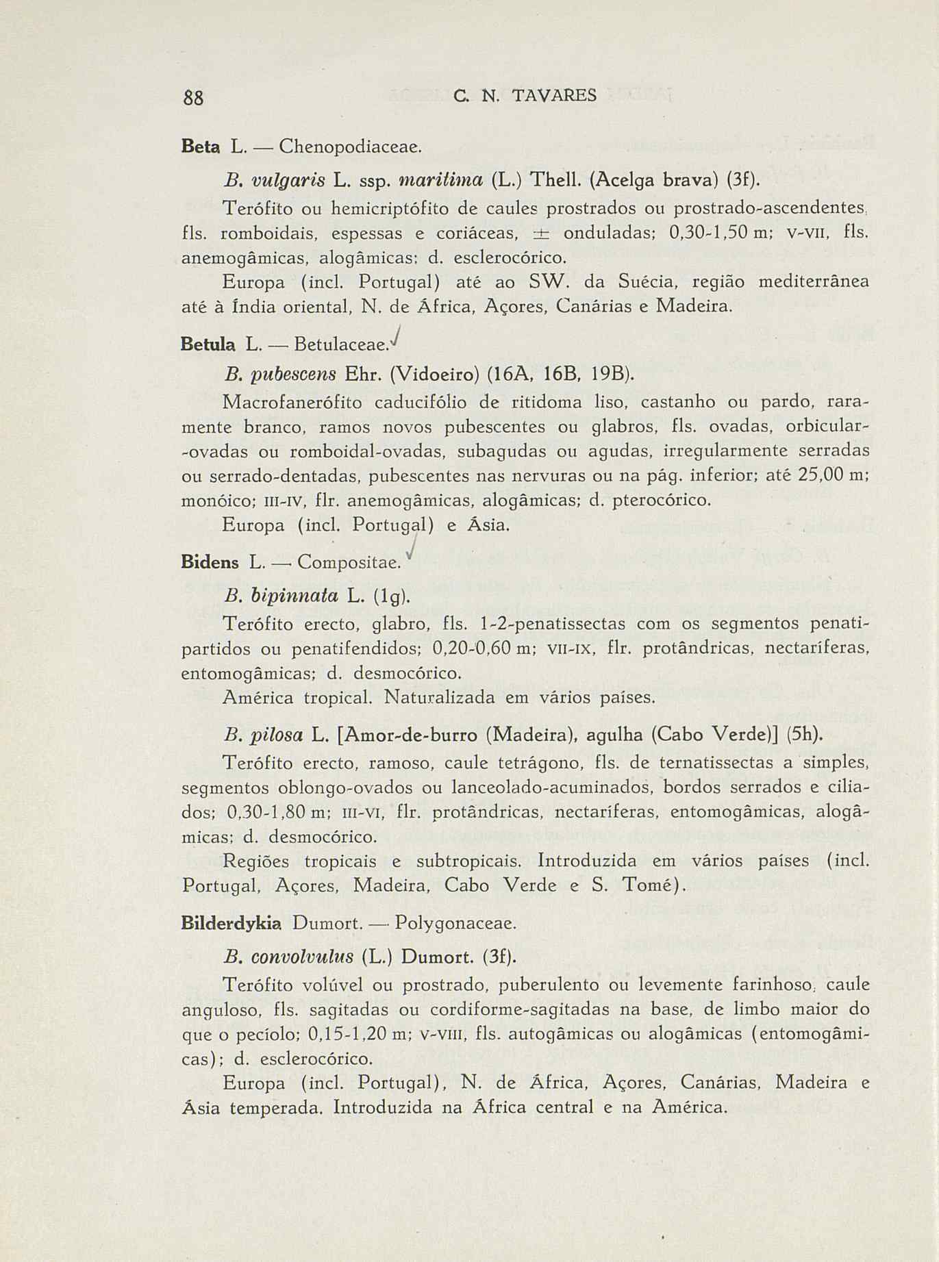 07485.004.001- pag.115