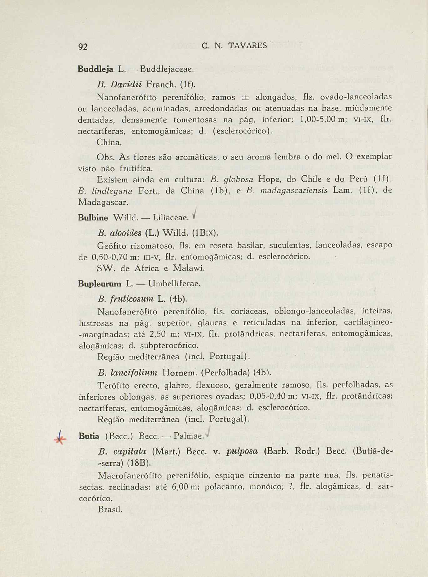 07485.004.001- pag.119