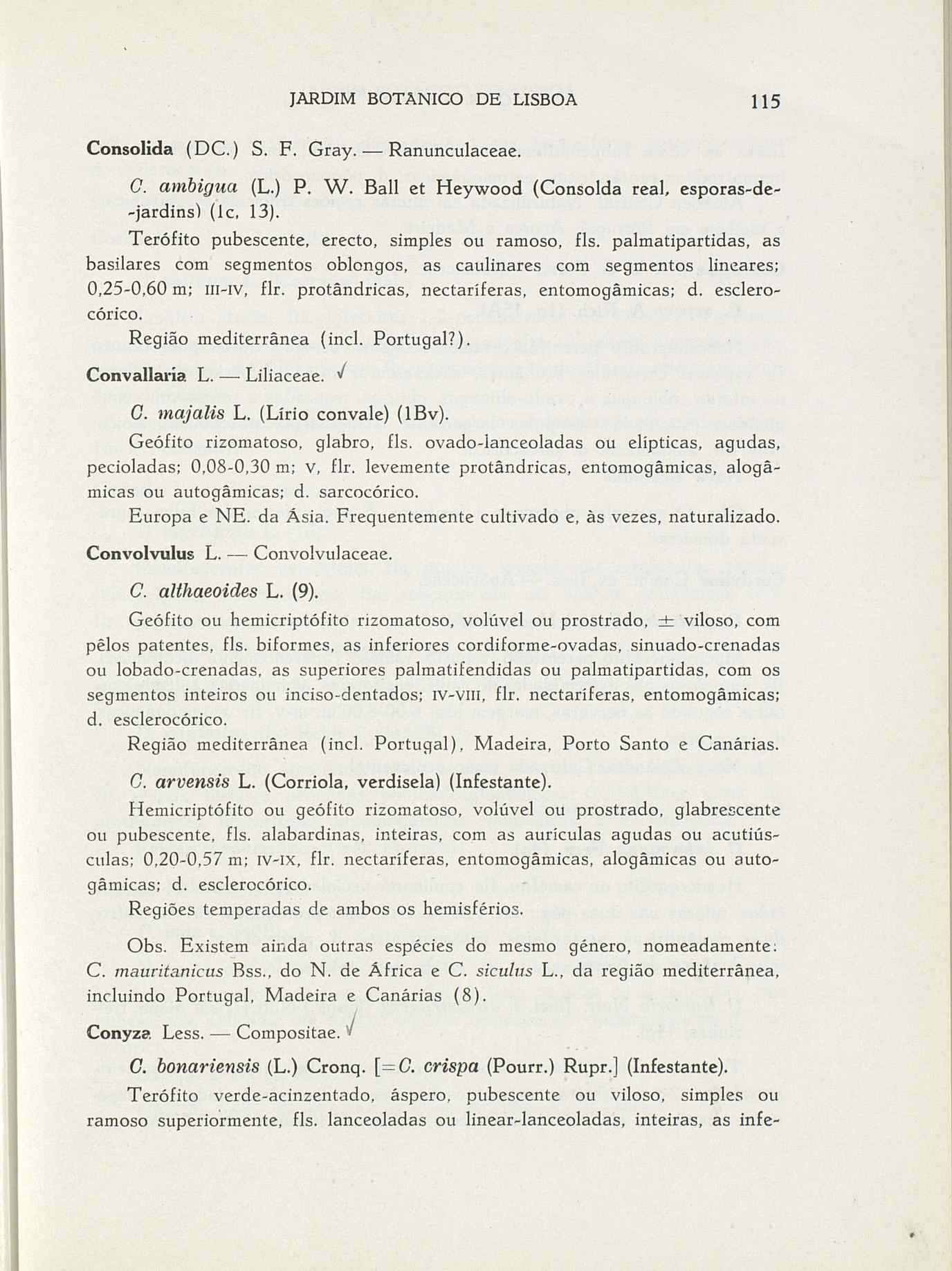 07485.004.001- pag.142