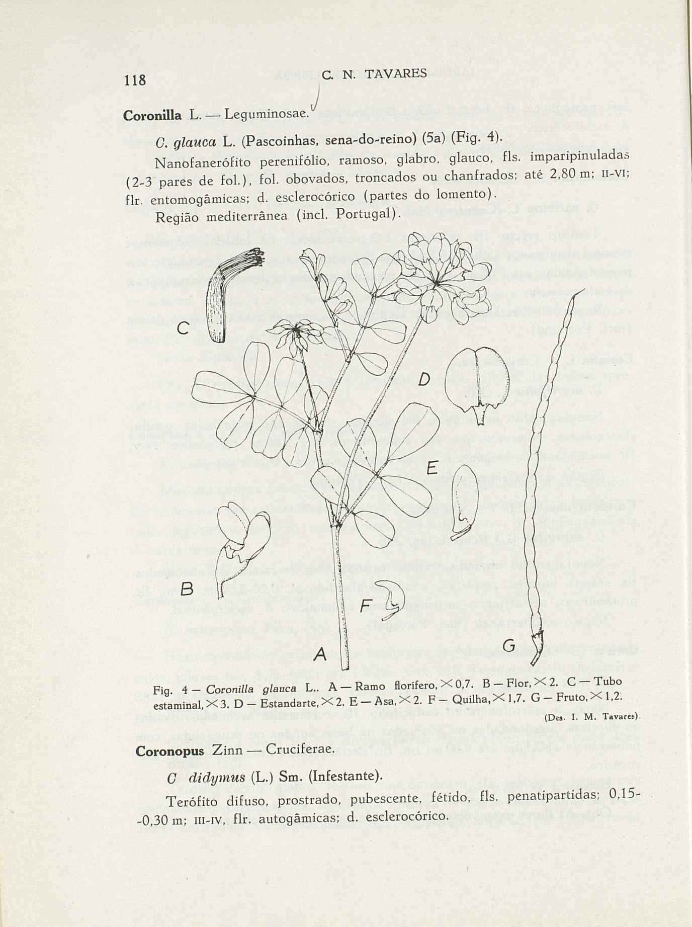 07485.004.001- pag.145