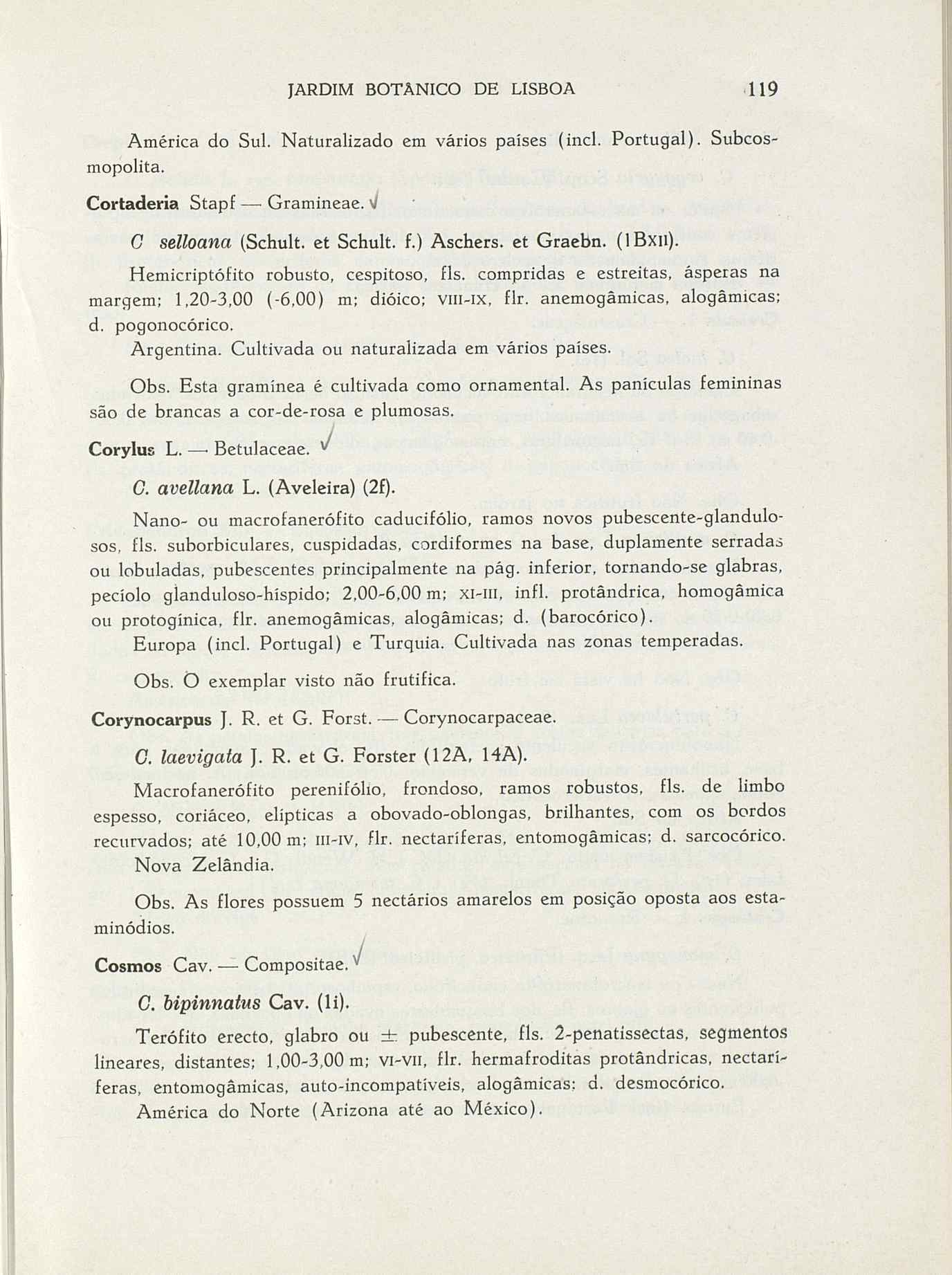 07485.004.001- pag.146