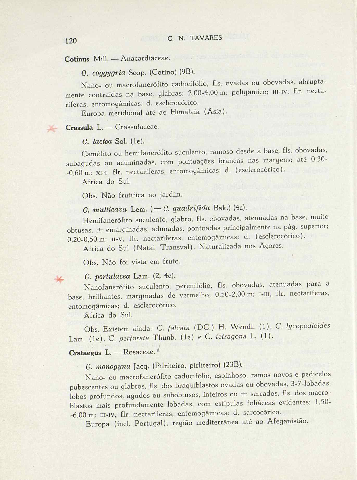 07485.004.001- pag.147