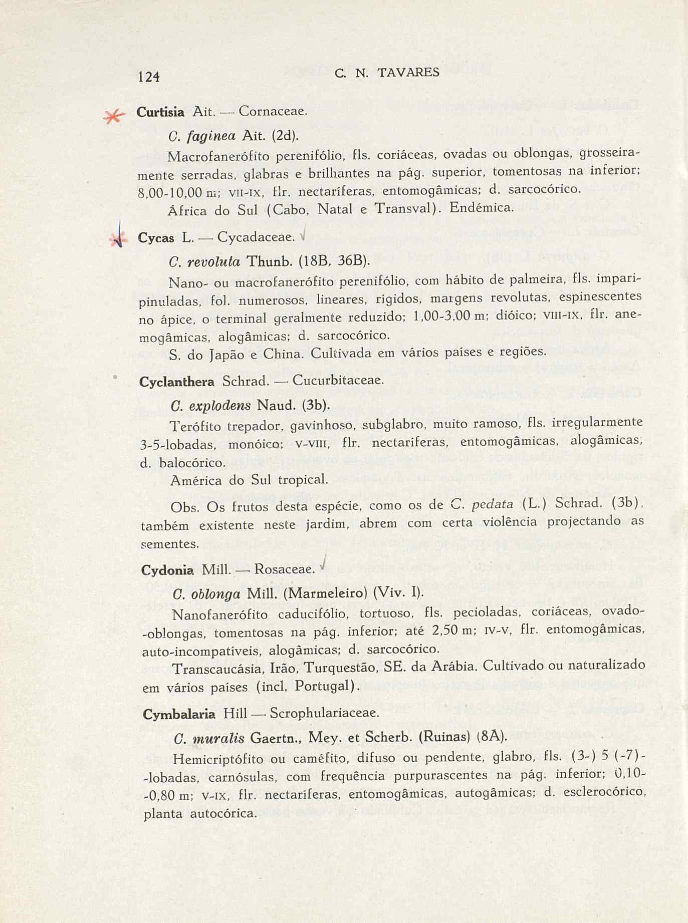 07485.004.001- pag.151