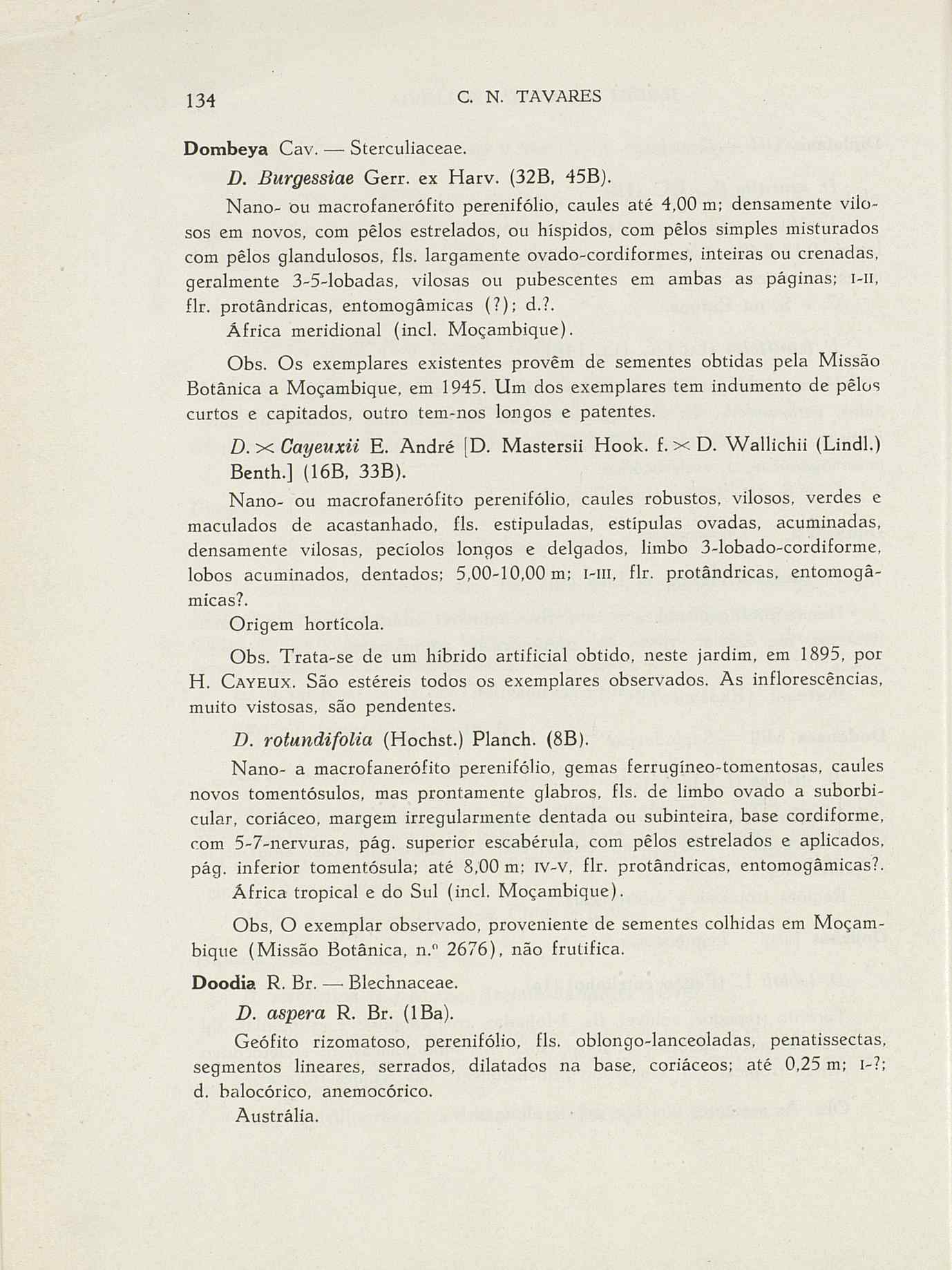 07485.004.001- pag.161